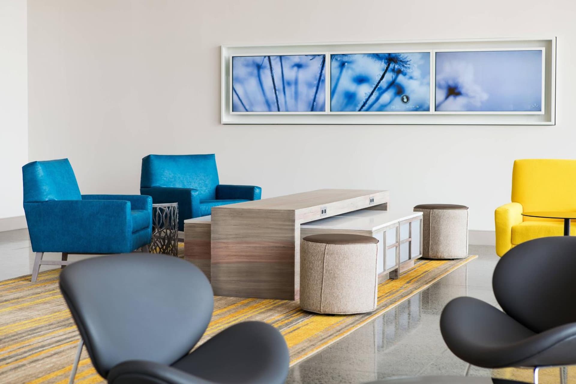 SpringHill Suites by Marriott San Diego Downtown/Bayfront gallery photo in San Diego, CA — image 27