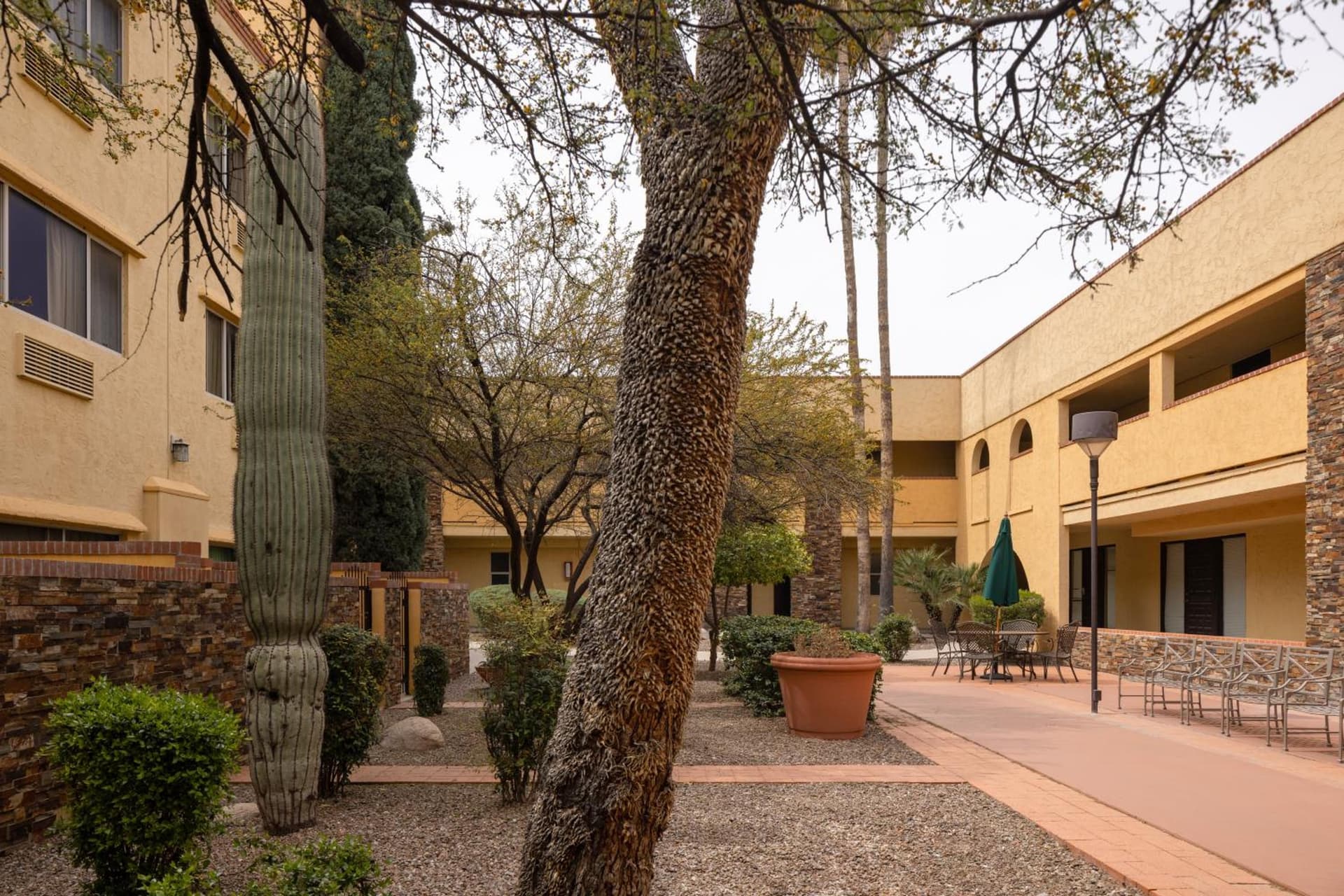 Spark by Hilton Tucson Reid Park gallery photo in Tucson, AZ — image 22