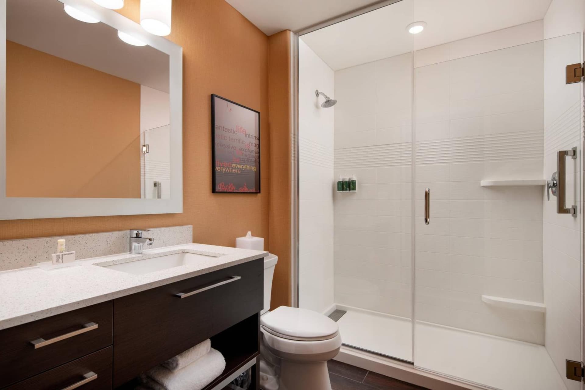 TownePlace Suites Fresno Clovis gallery photo in Clovis, CA — image 24
