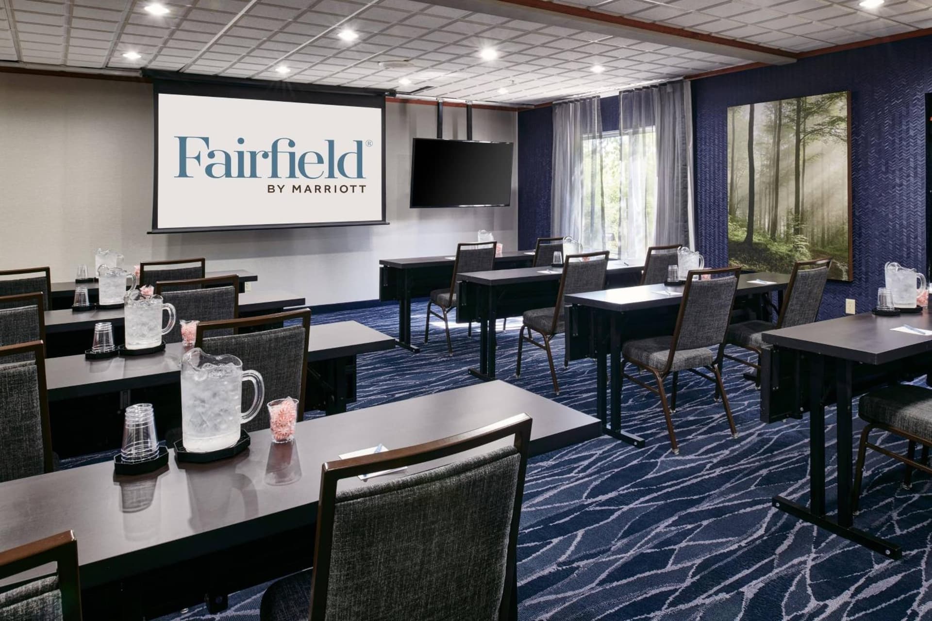 Fairfield Inn & Suites Detroit Livonia gallery photo in Livonia, MI — image 18