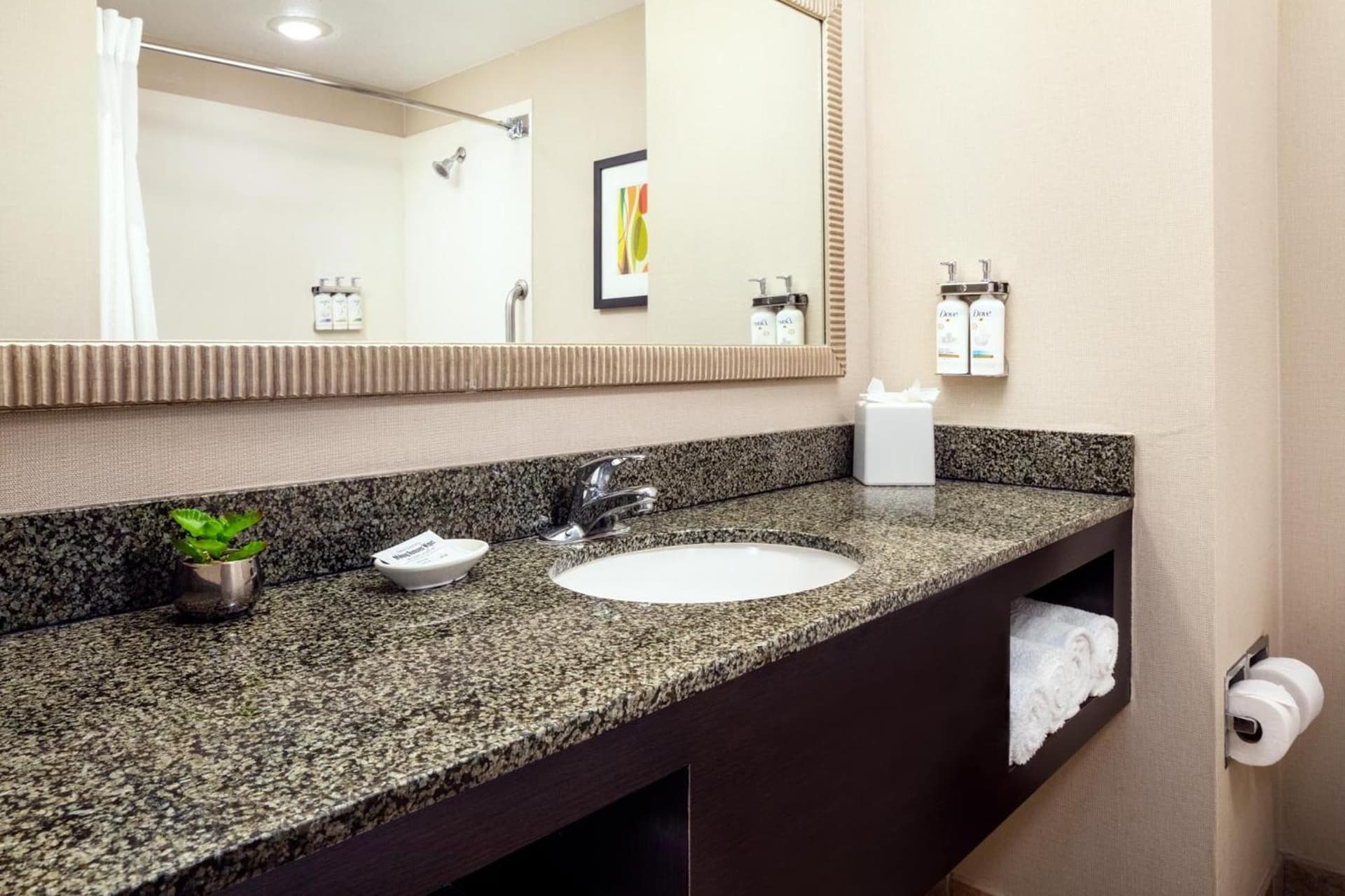 Holiday Inn Phoenix/Chandler by IHG gallery photo in Chandler, AZ — image 48