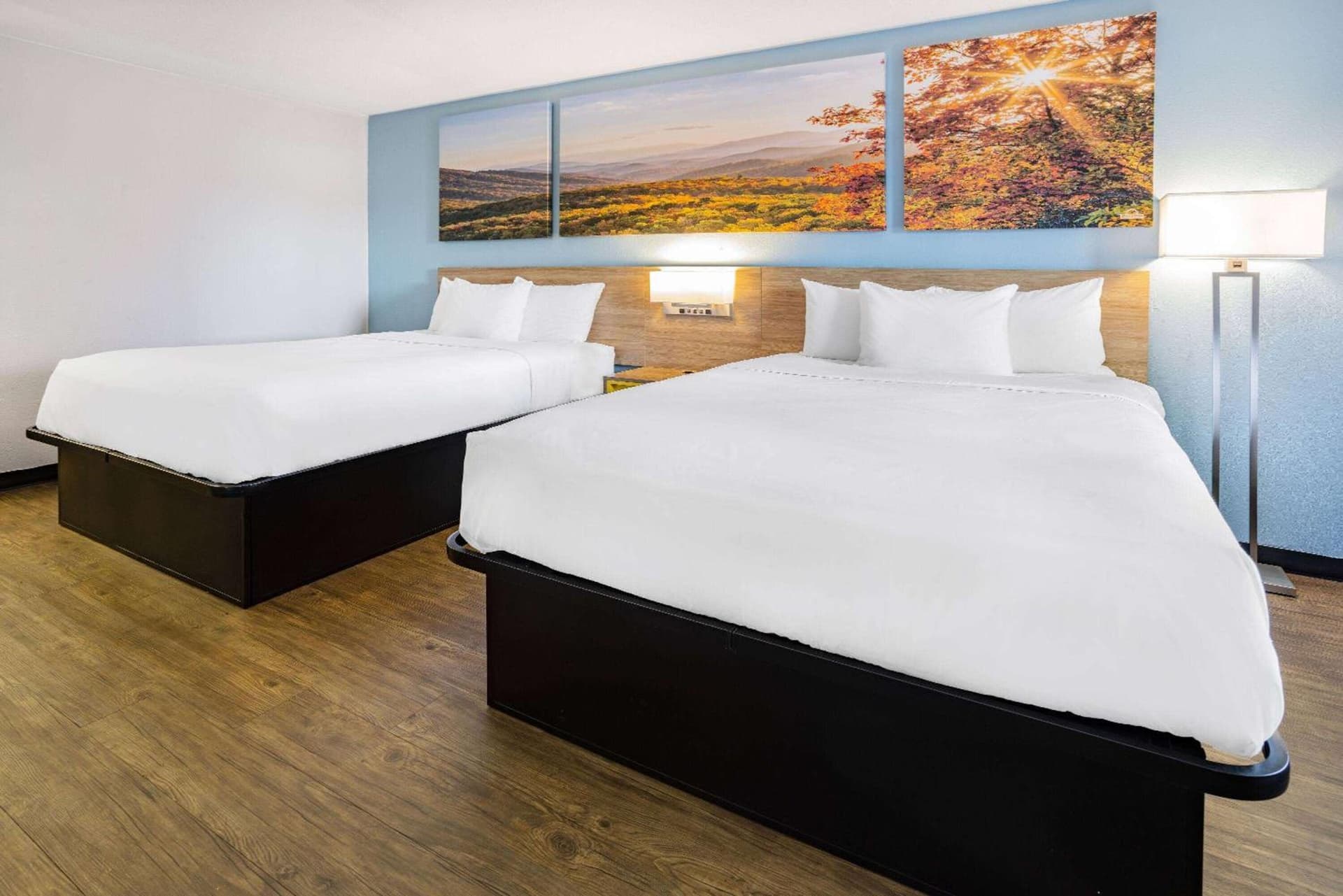 Days Inn by Wyndham Raleigh Glenwood-Crabtree gallery photo in Raleigh, NC — image 13