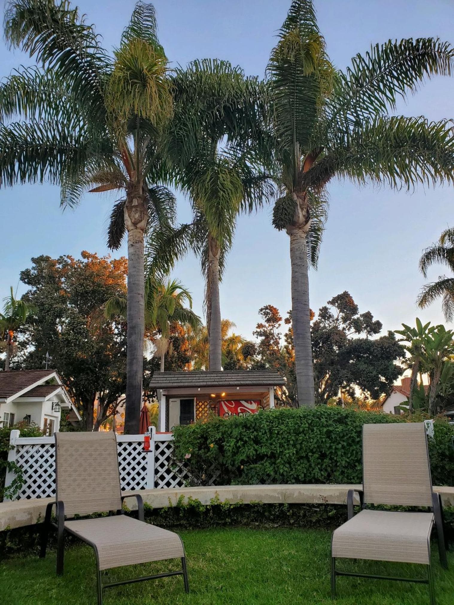 Marina Beach Hotel gallery photo in Santa Barbara, CA — image 42