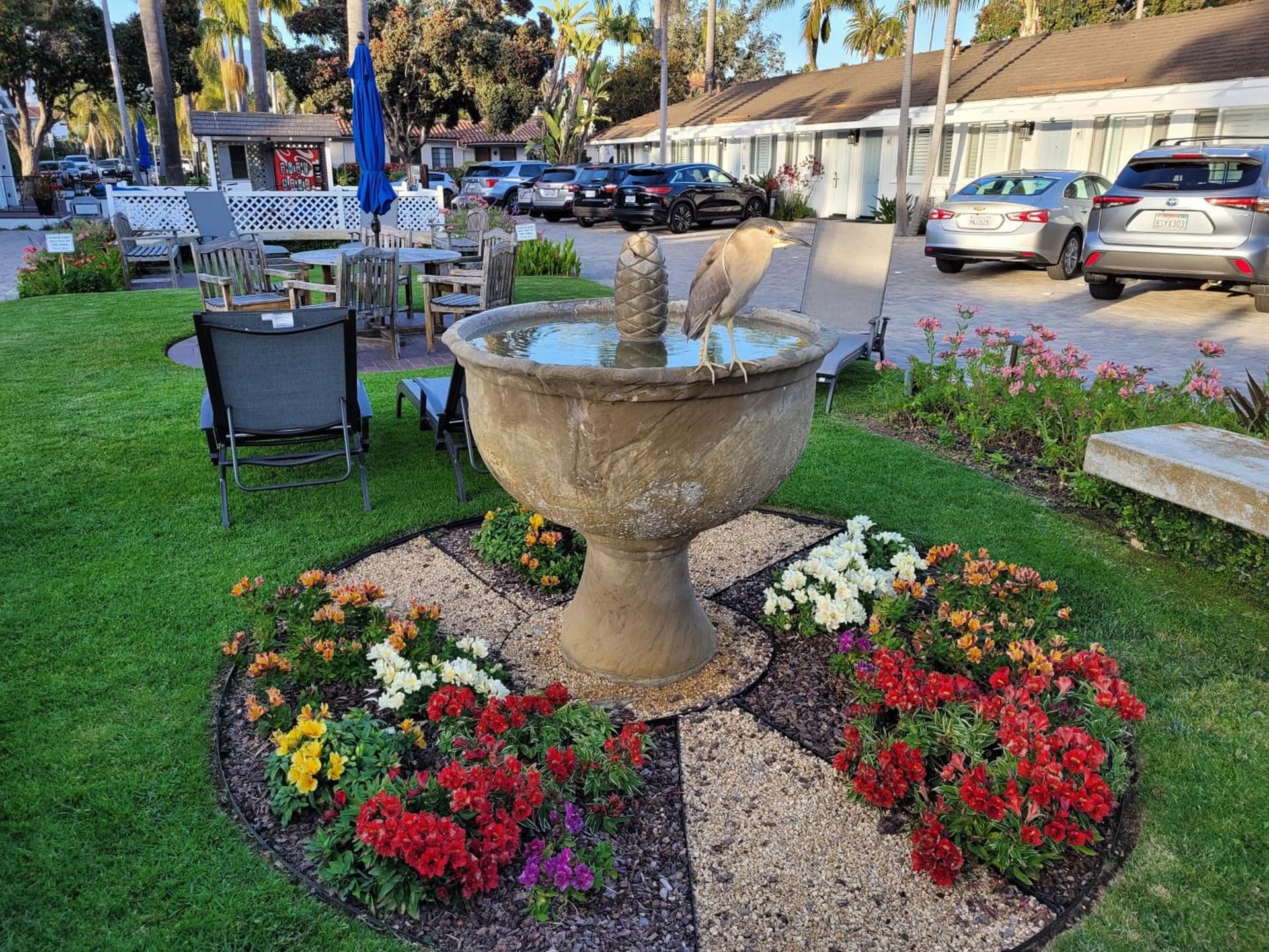 Marina Beach Hotel gallery photo in Santa Barbara, CA — image 44