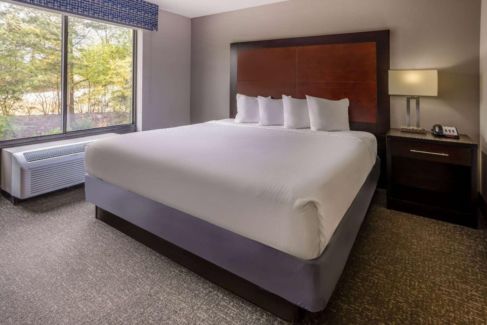 Wingate by Wyndham Atlanta Galleria/ Ballpark gallery photo in Atlanta, GA — image 41