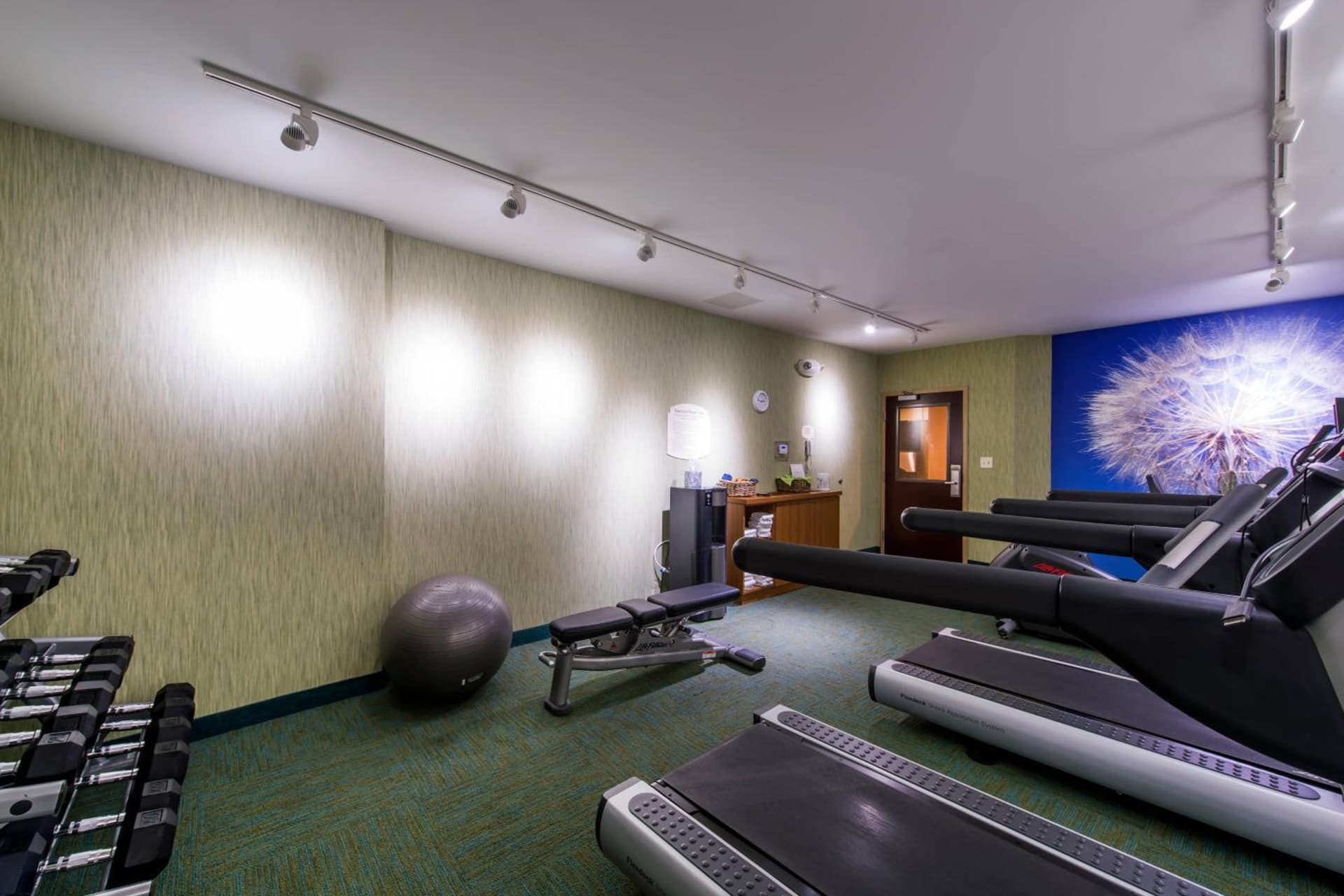 SpringHill Suites Devens Common Center gallery photo in Devens, MA — image 14