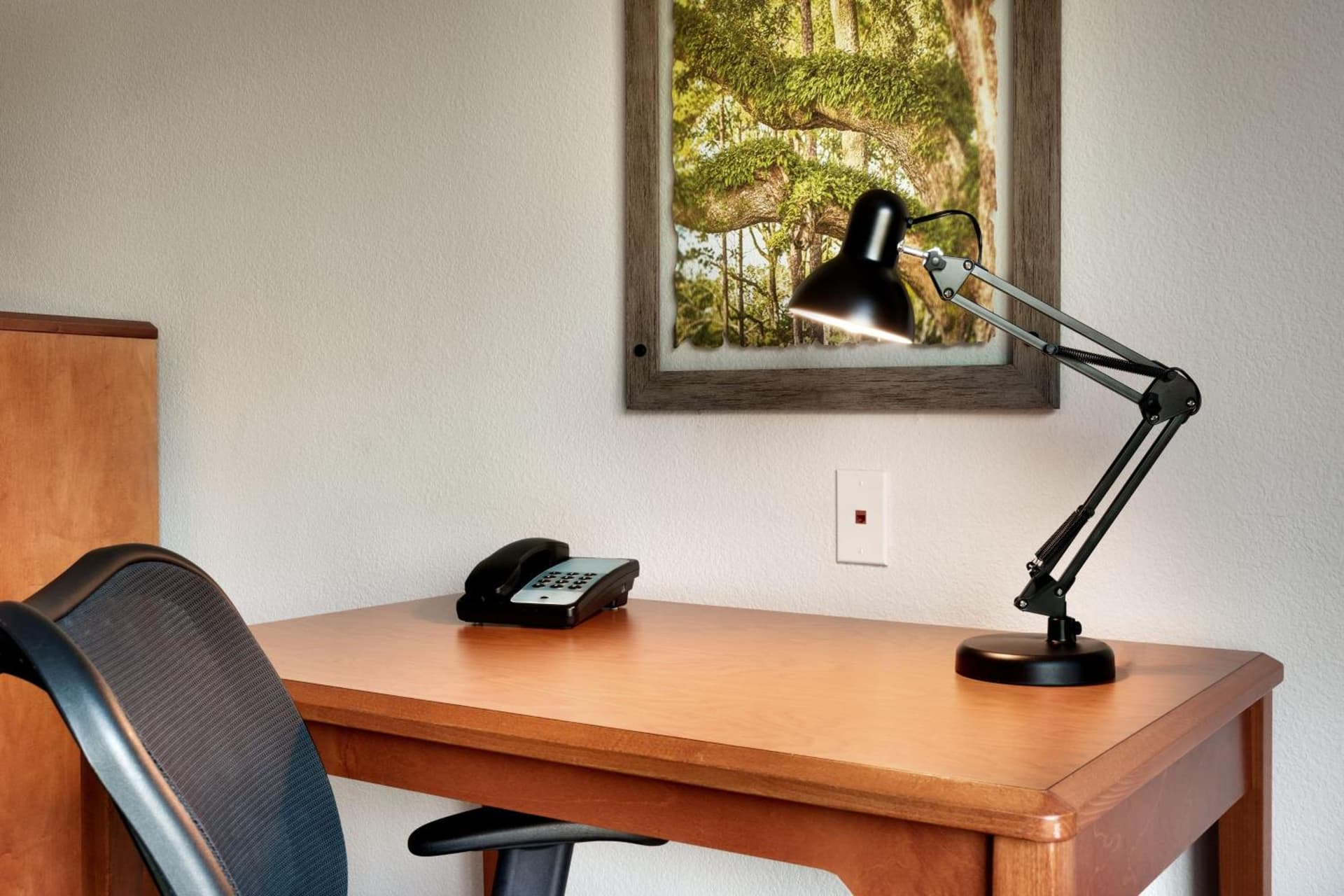 Fairfield Inn & Suites by Marriott Tallahassee Central gallery photo in Tallahassee, FL — image 29
