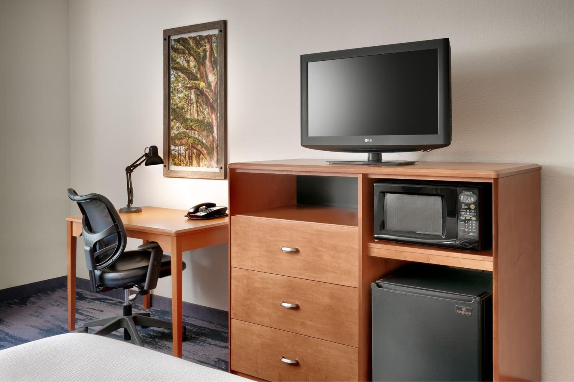Fairfield Inn & Suites by Marriott Tallahassee Central property views in Tallahassee, FL — gallery photo 3