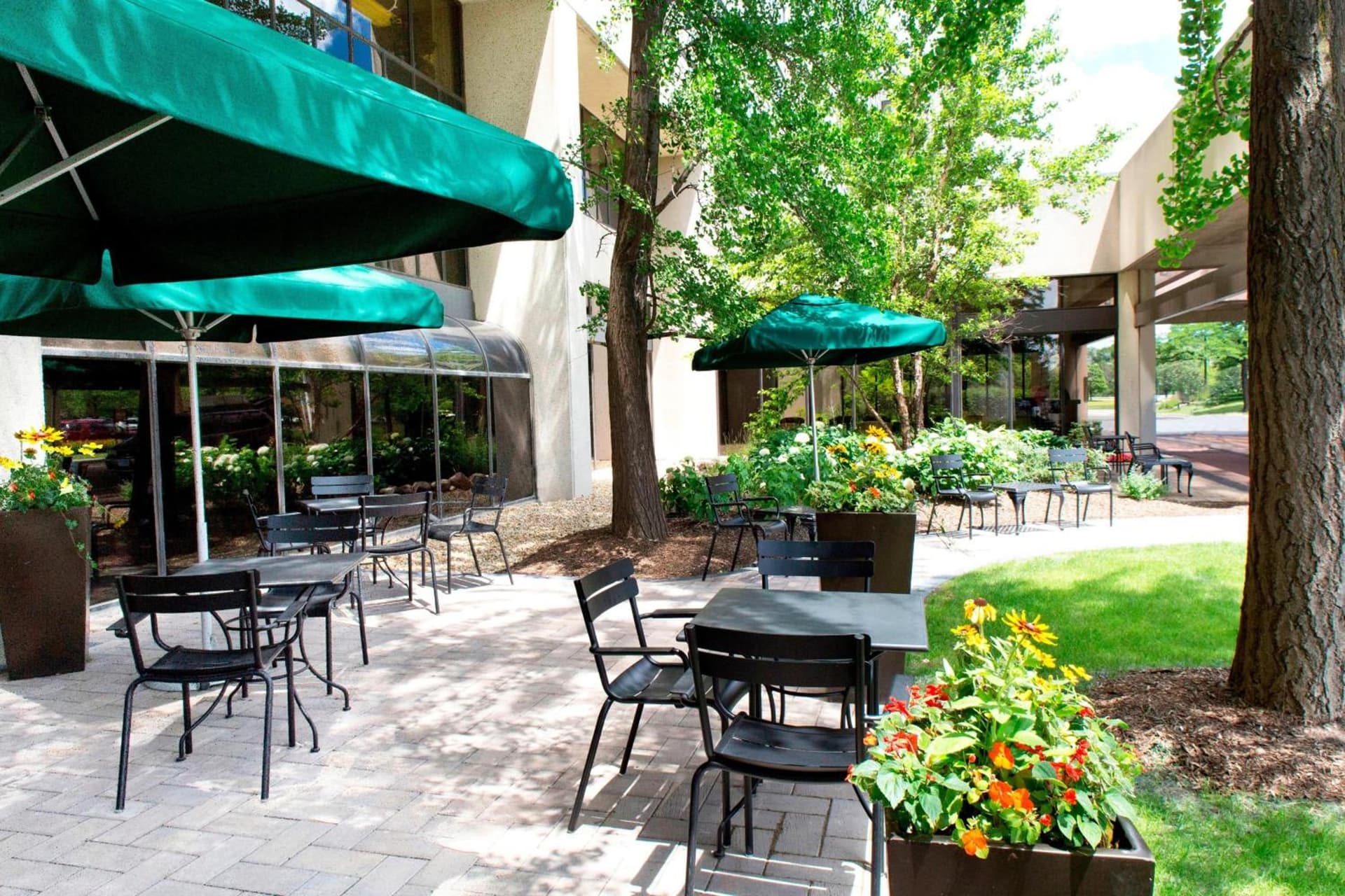 The Westin O'Hare gallery photo in Rosemont, IL — image 50