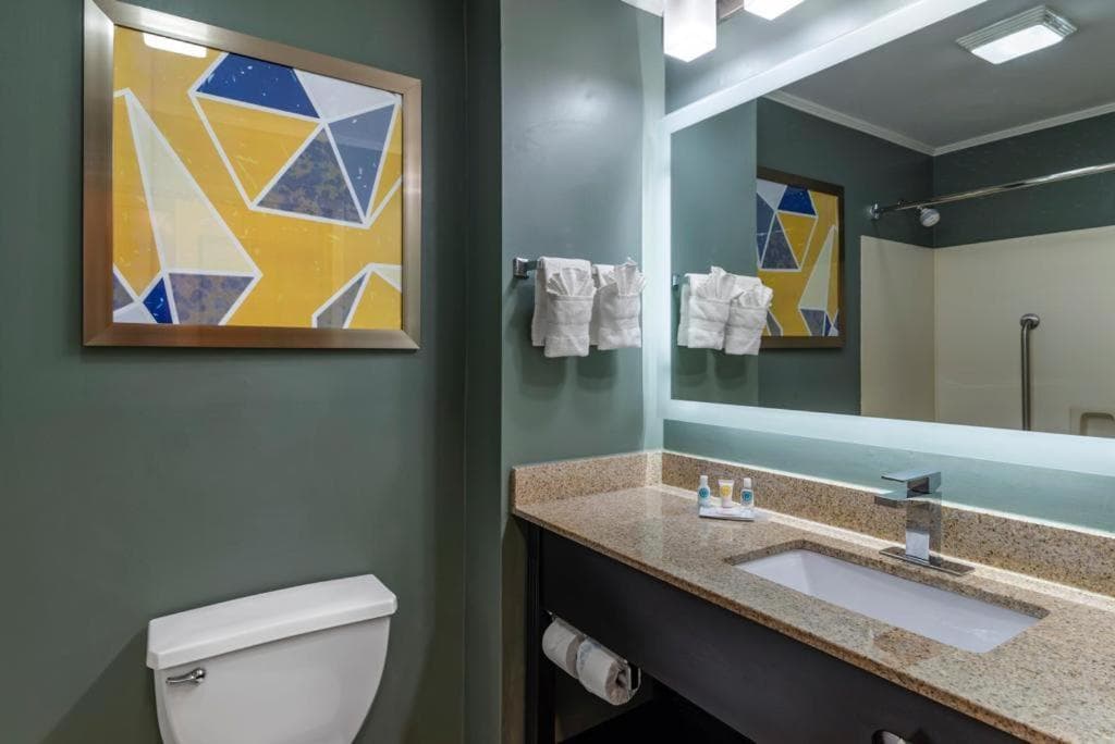 Comfort Inn & Suites at Stone Mountain gallery photo in Stone Mountain, GA — image 24