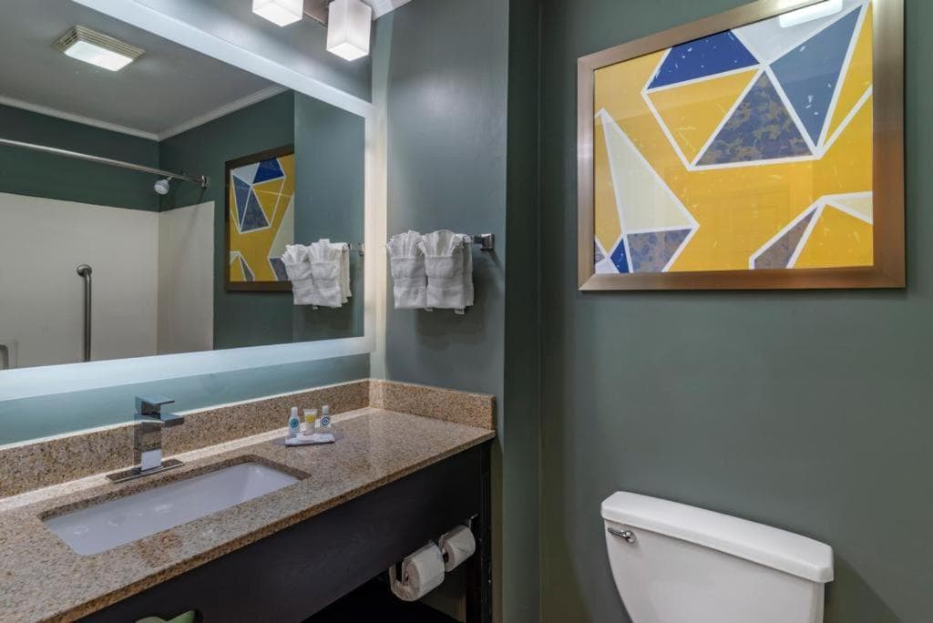 Comfort Inn & Suites at Stone Mountain gallery photo in Stone Mountain, GA — image 7