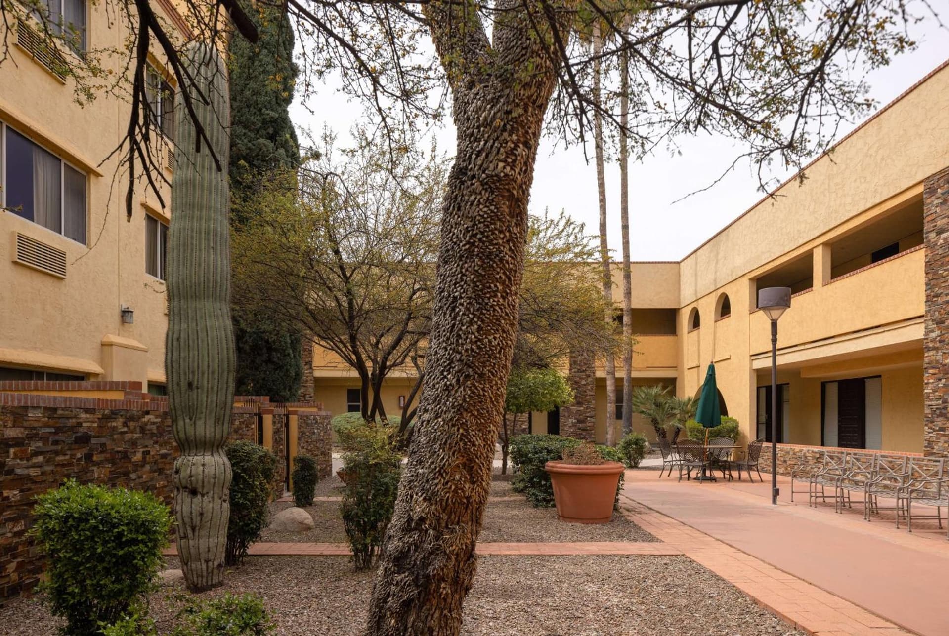 Spark by Hilton Tucson Reid Park gallery photo in Tucson, AZ — image 32