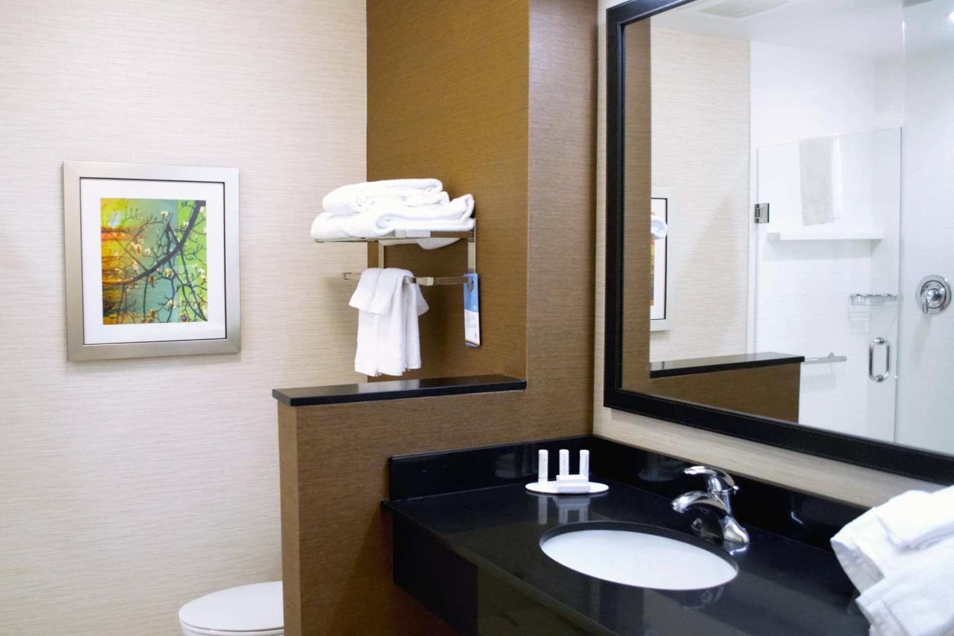 Fairfield Inn & Suites by Marriott Stroudsburg Bartonsville/Poconos gallery photo in Stroudsburg, PA — image 18