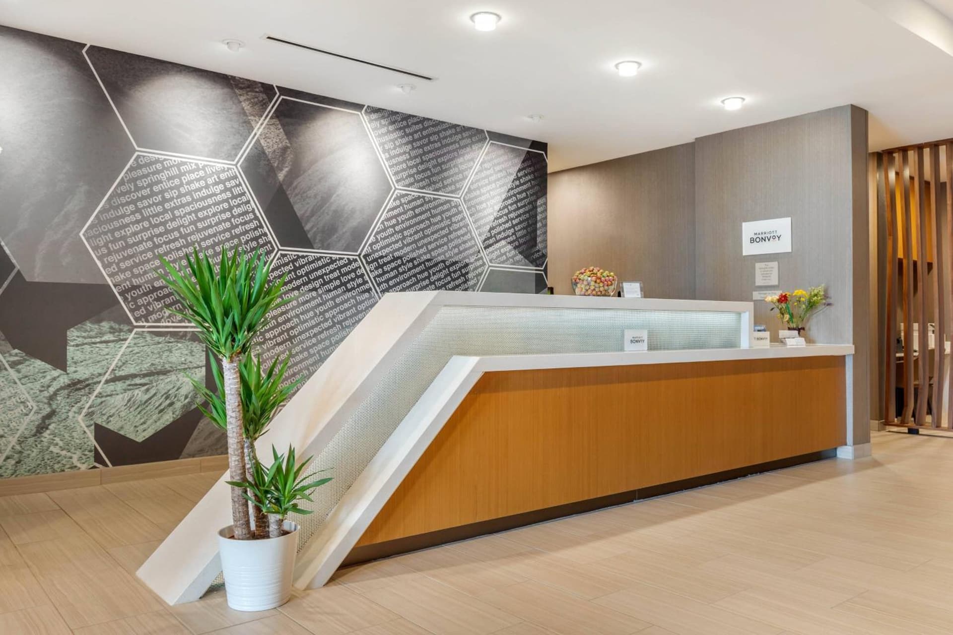SpringHill Suites Charlotte Southwest gallery photo in Charlotte, NC — image 13