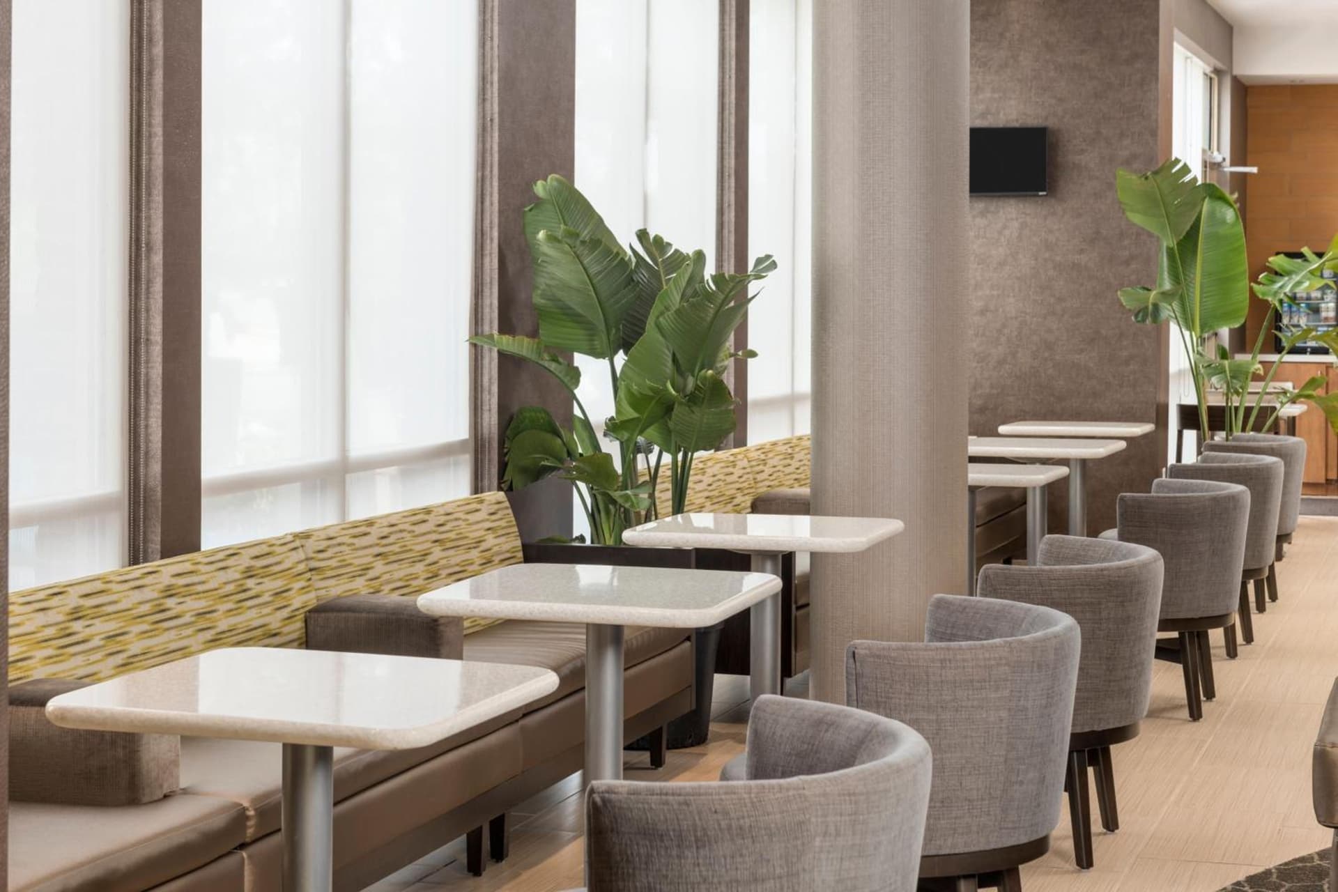 SpringHill Suites by Marriott Lafayette South at River Ranch gallery photo in Lafayette, LA — image 17