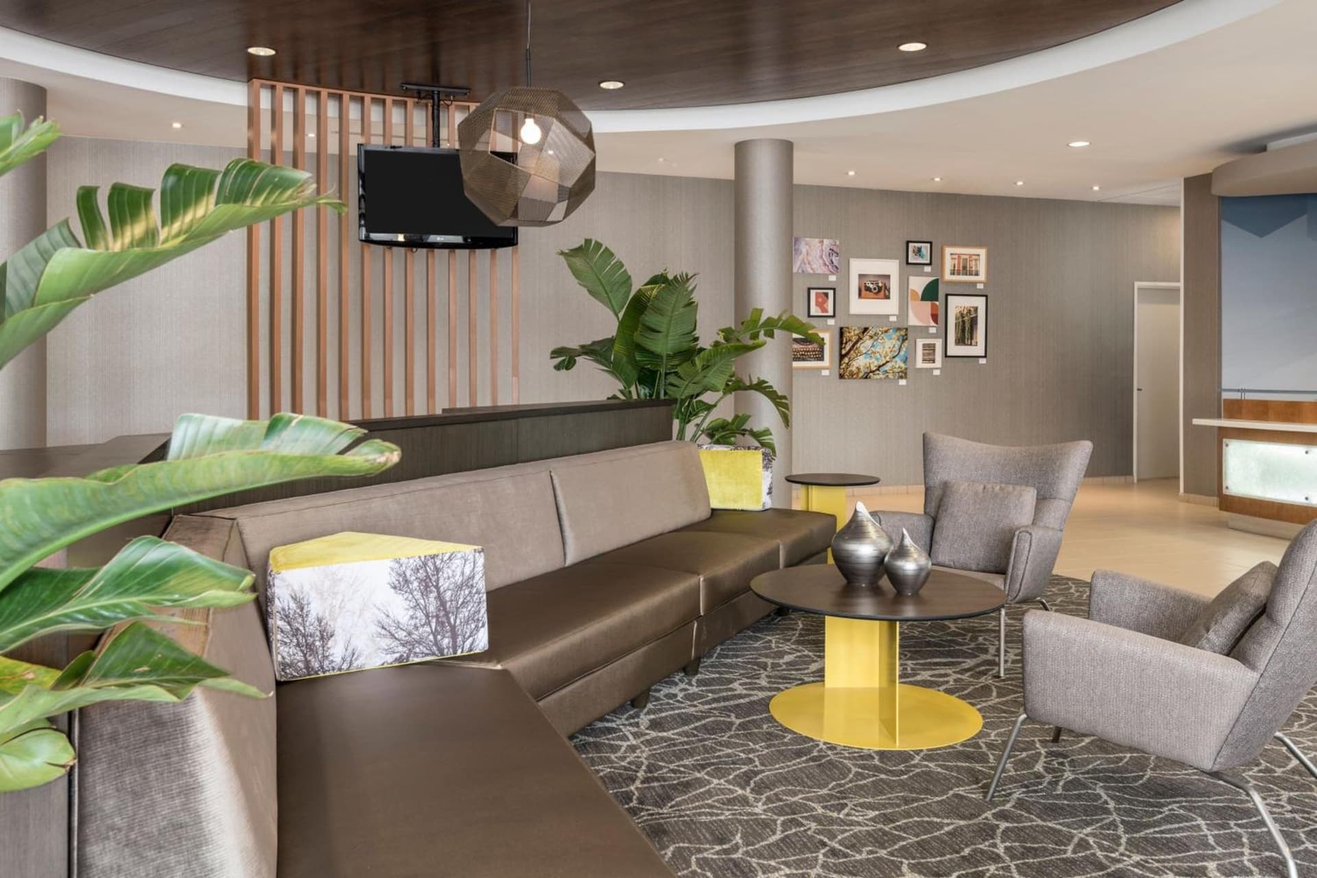 SpringHill Suites by Marriott Lafayette South at River Ranch gallery photo in Lafayette, LA — image 21