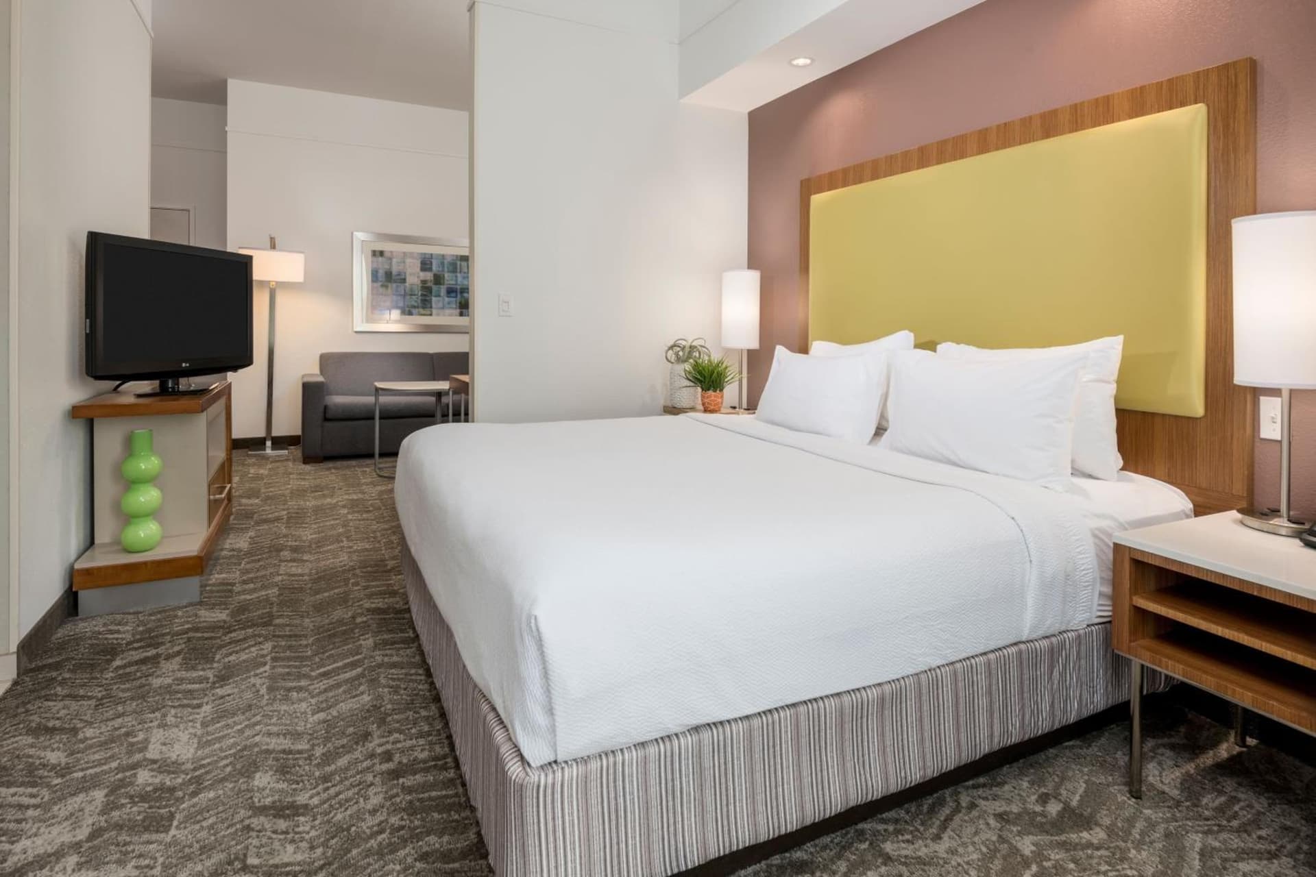 SpringHill Suites by Marriott Lafayette South at River Ranch gallery photo in Lafayette, LA — image 11
