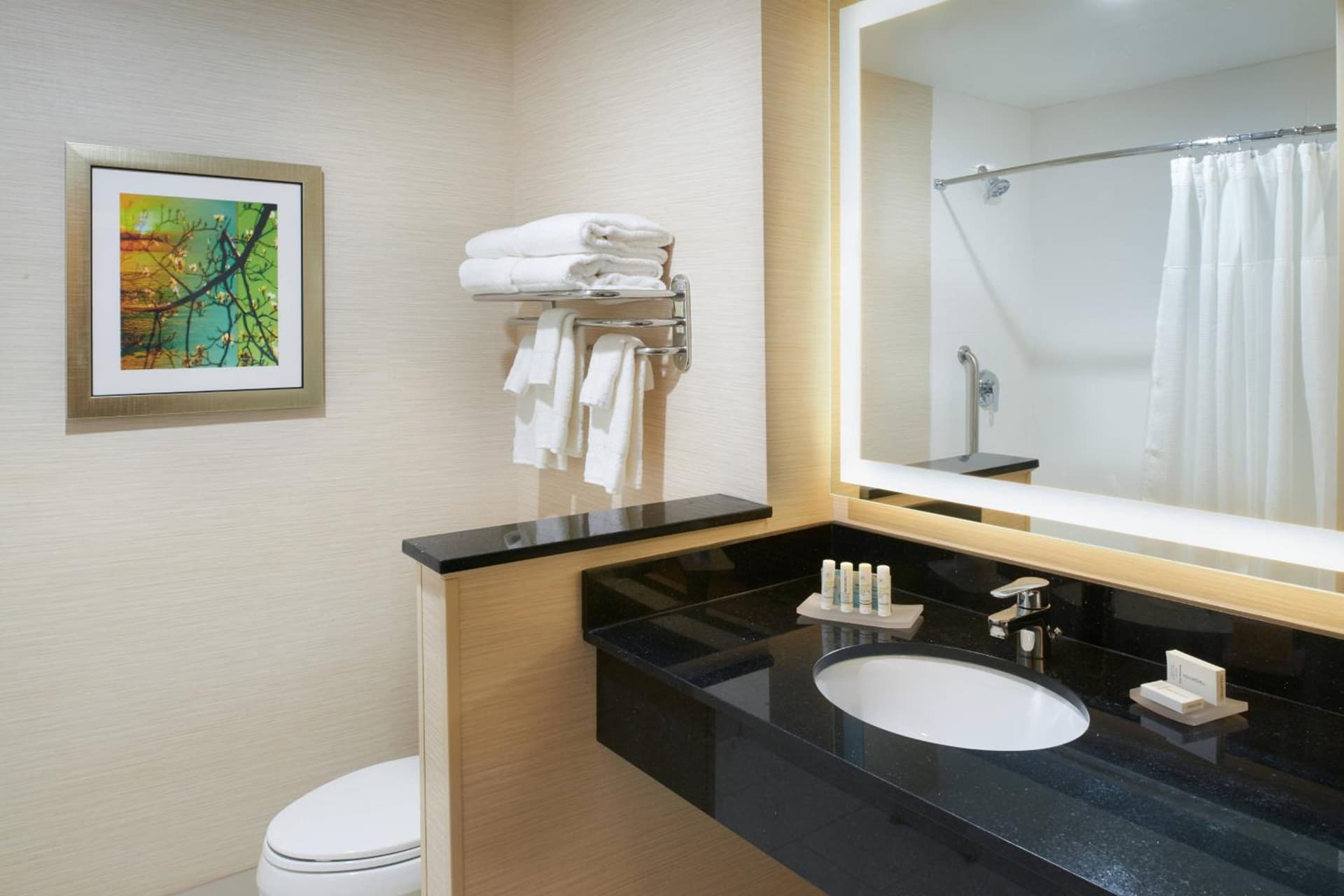 Fairfield Inn & Suites by Marriott Detroit Troy gallery photo in Troy, MI — image 16