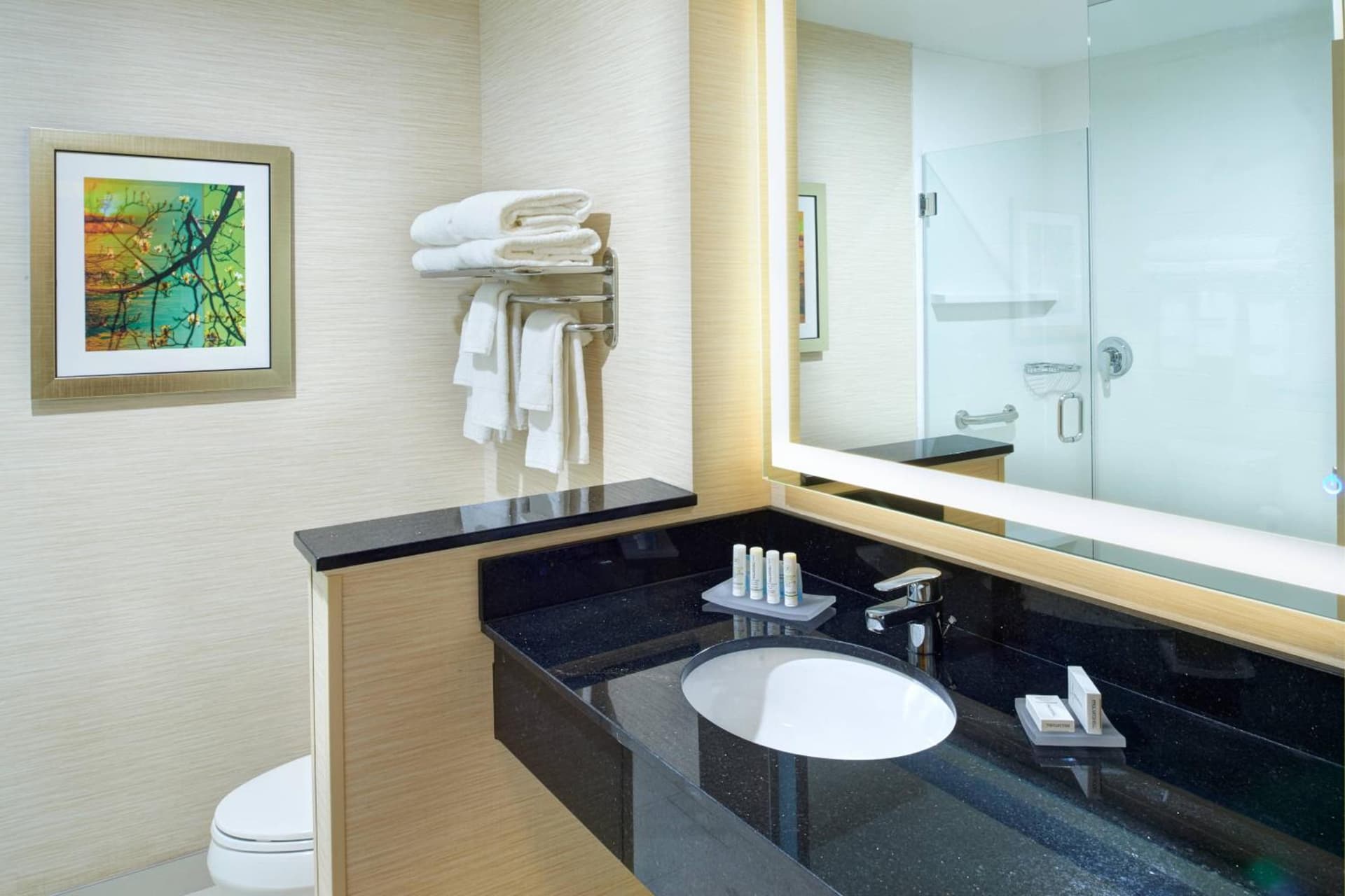 Fairfield Inn & Suites by Marriott Detroit Troy gallery photo in Troy, MI — image 18