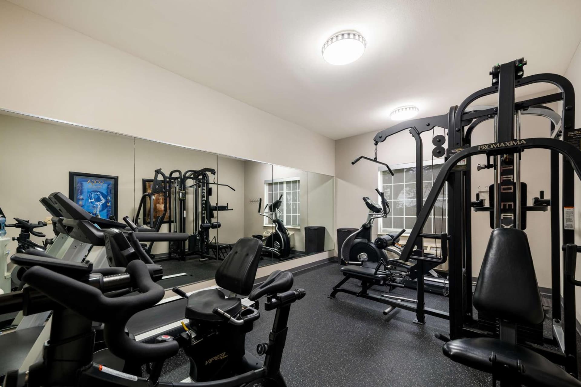 Best Western Plus Lake Dallas Inn & Suites gallery photo in Lake Dallas, TX — image 13