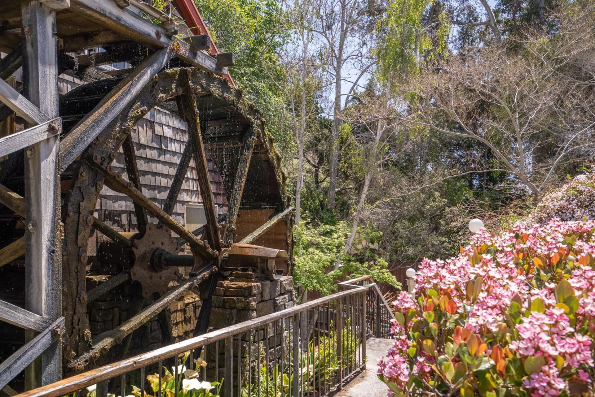 Apple Farm Inn gallery photo in San Luis Obispo, CA — image 19