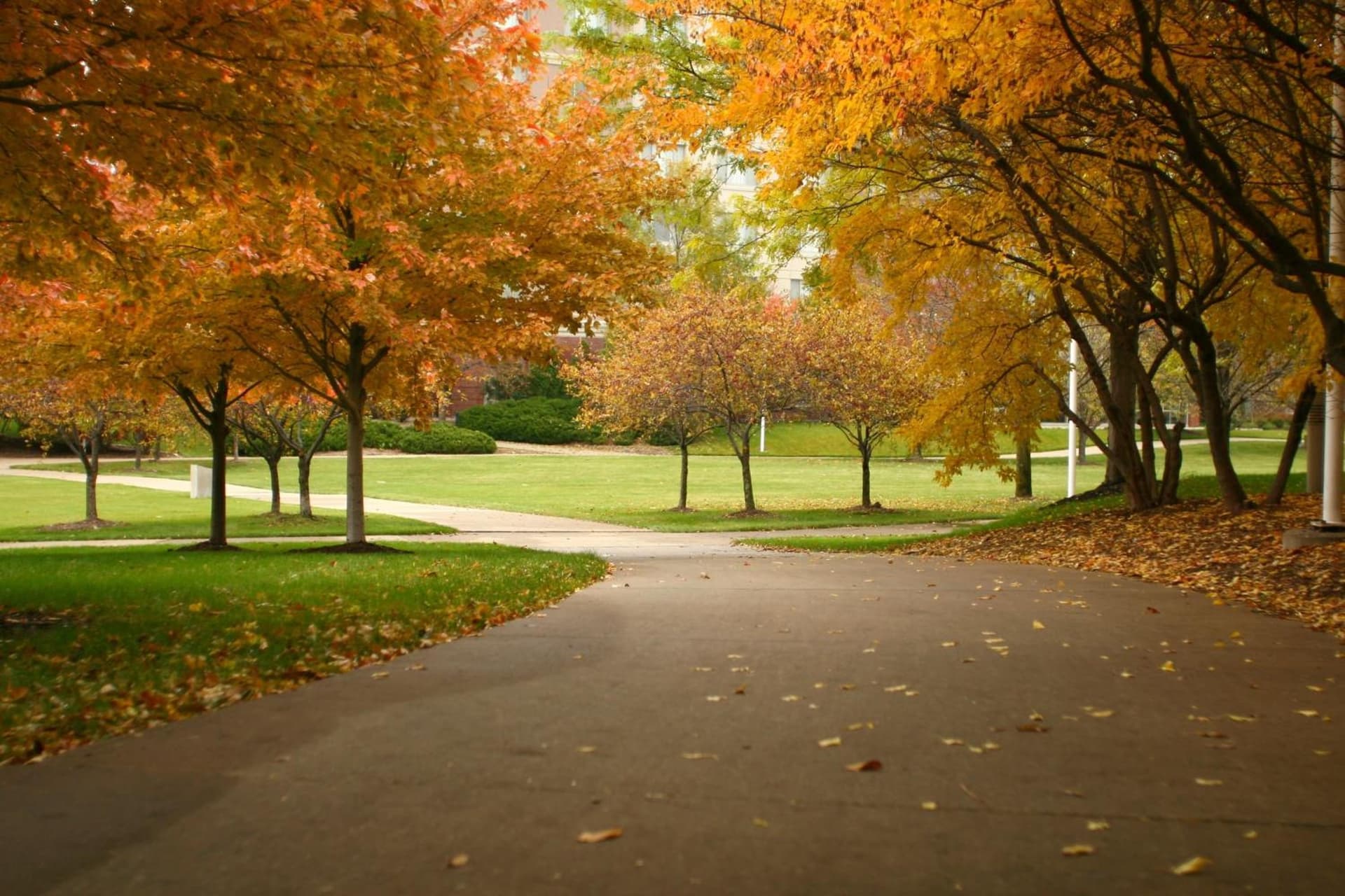 Wyndham Moline on John Deere Commons gallery photo in Moline, IL — image 55