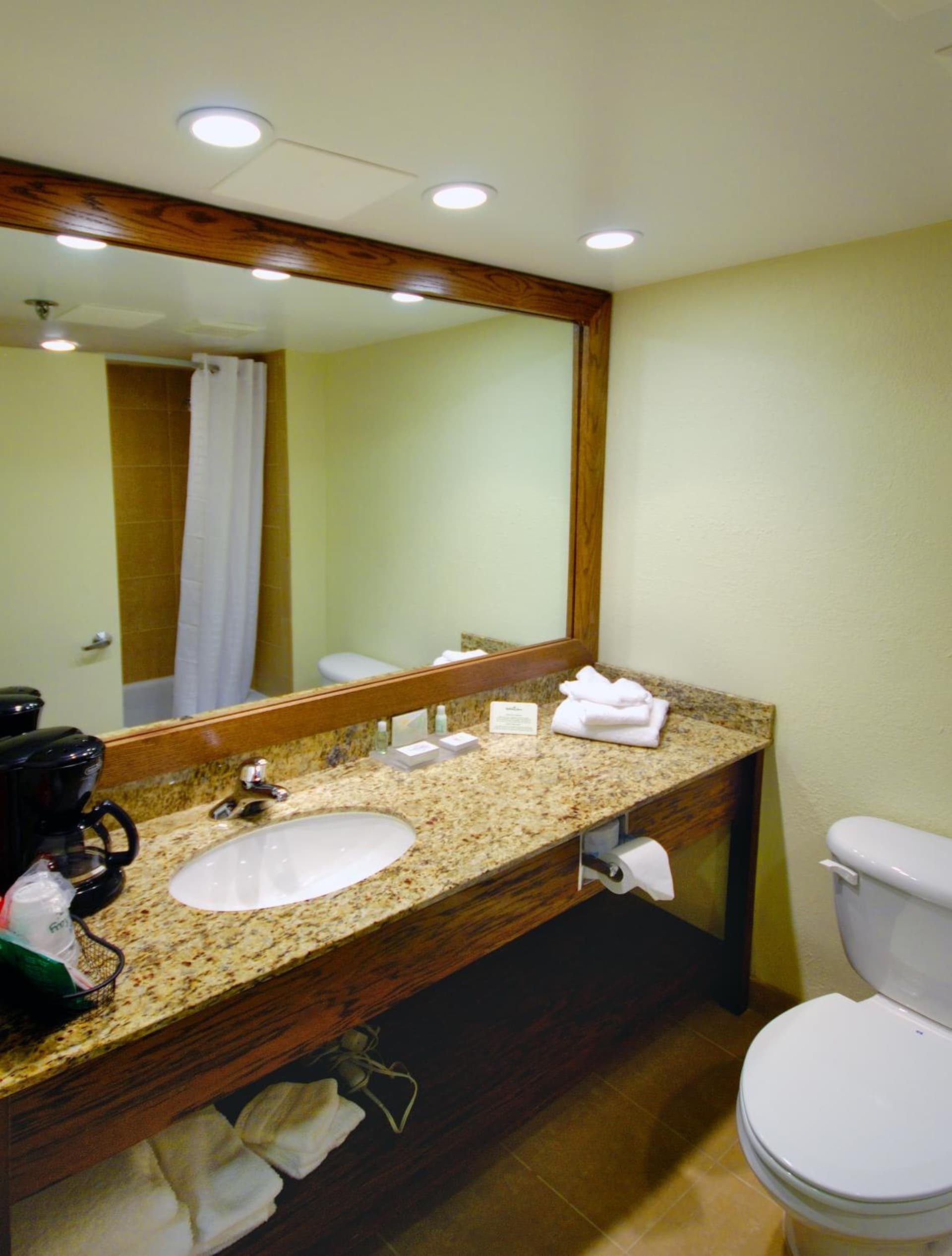 Holiday Inn - Fort Myers - Downtown Area by IHG gallery photo in Fort Myers, FL — image 19