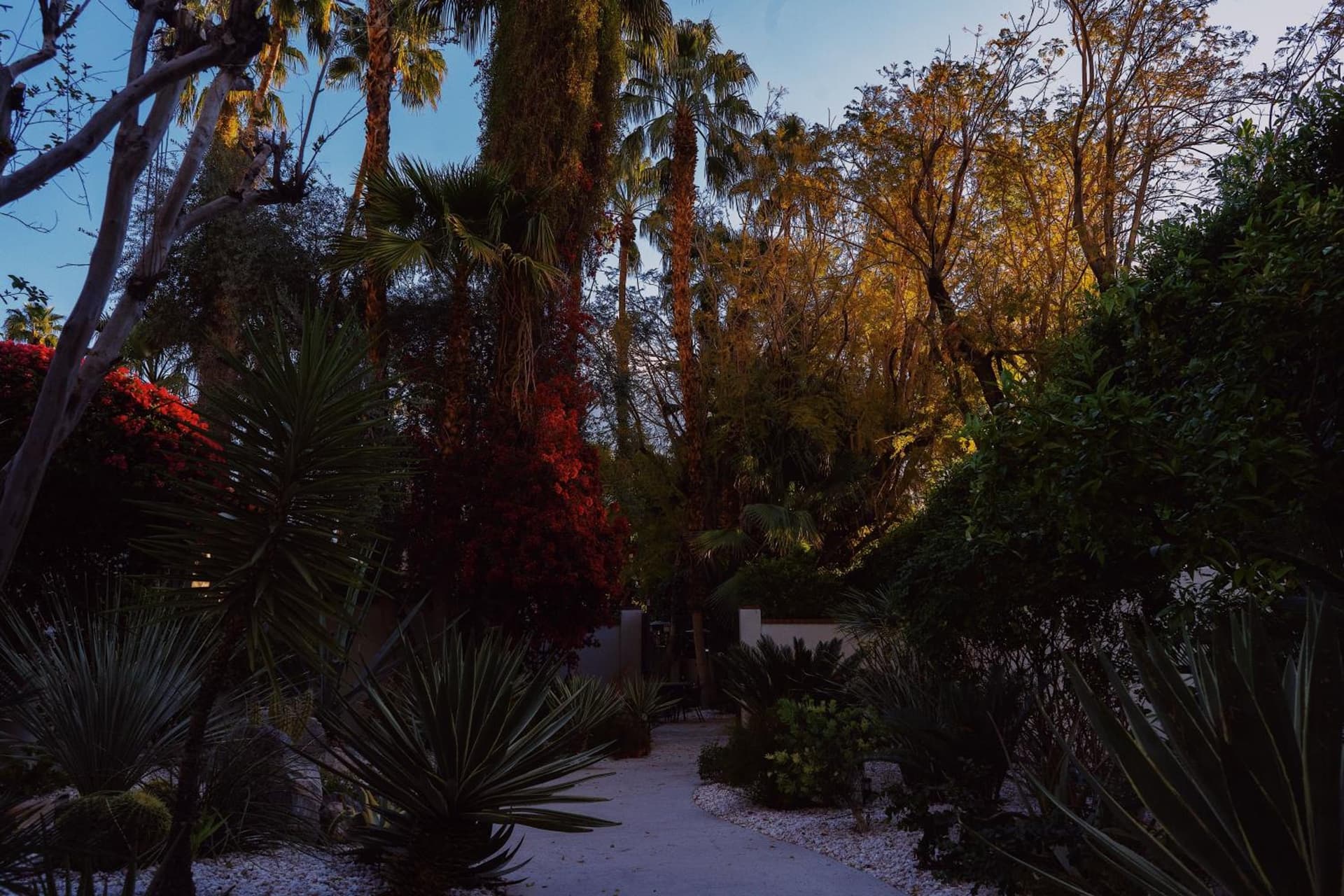 Villa Royale gallery photo in Palm Springs, CA — image 7