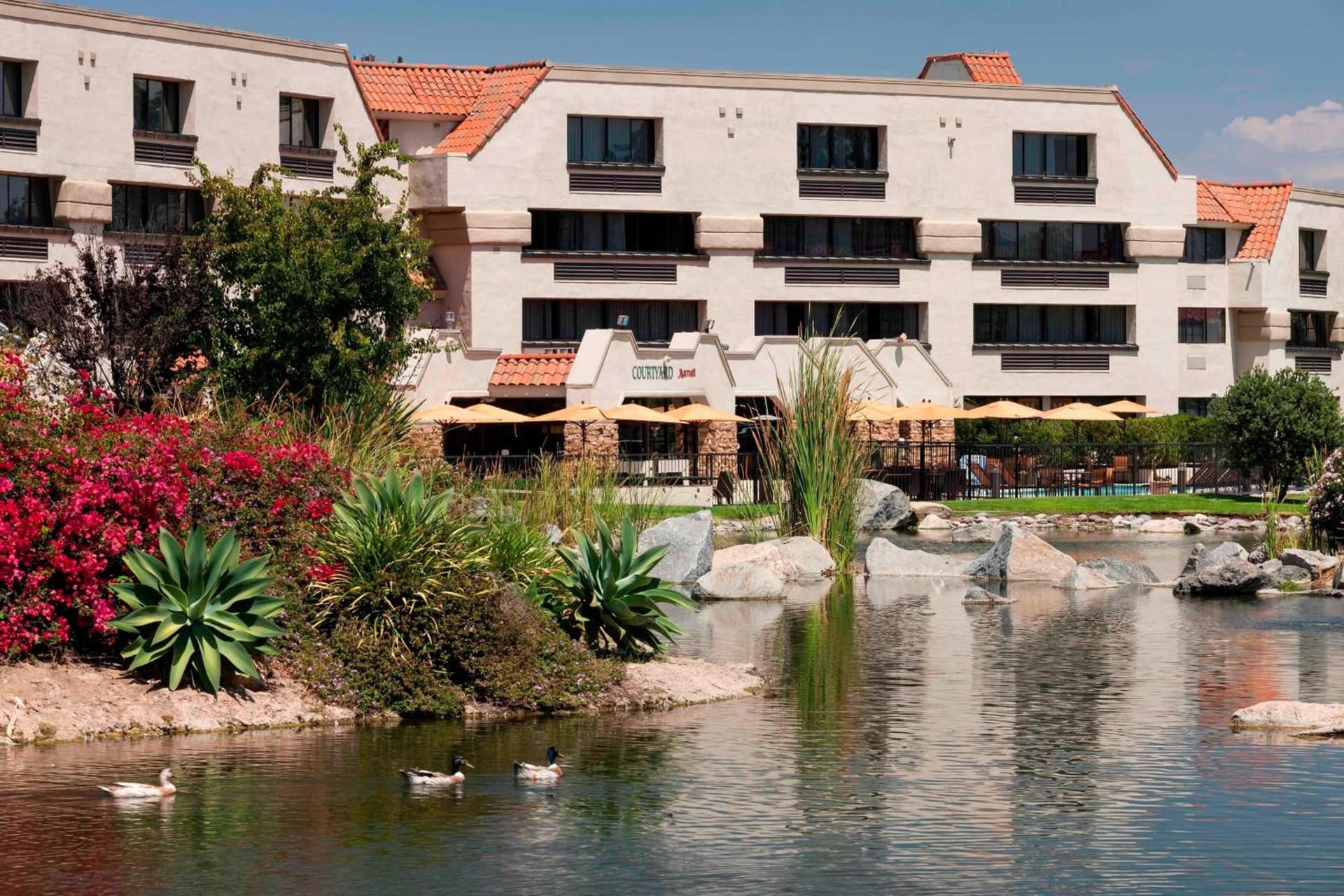 Courtyard by Marriott San Diego Rancho Bernardo gallery photo in Rancho Bernardo, CA — image 56