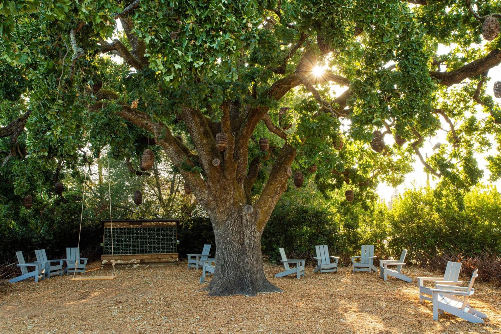 The Lodge at Sonoma Resort, Autograph Collection gallery photo in Sonoma, CA — image 95