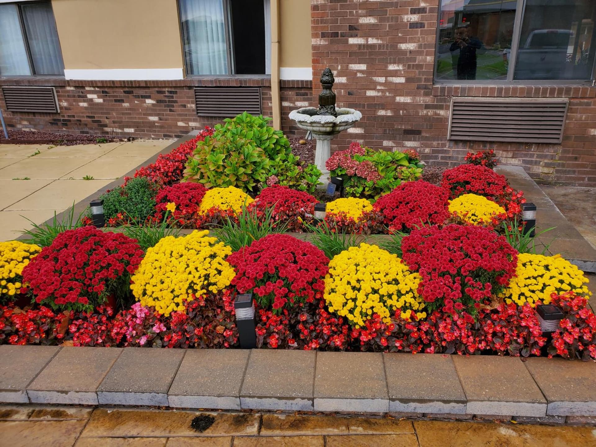 Super 8 by Wyndham Sterling Heights/Detroit Area property views in Sterling Heights, MI — gallery photo 3