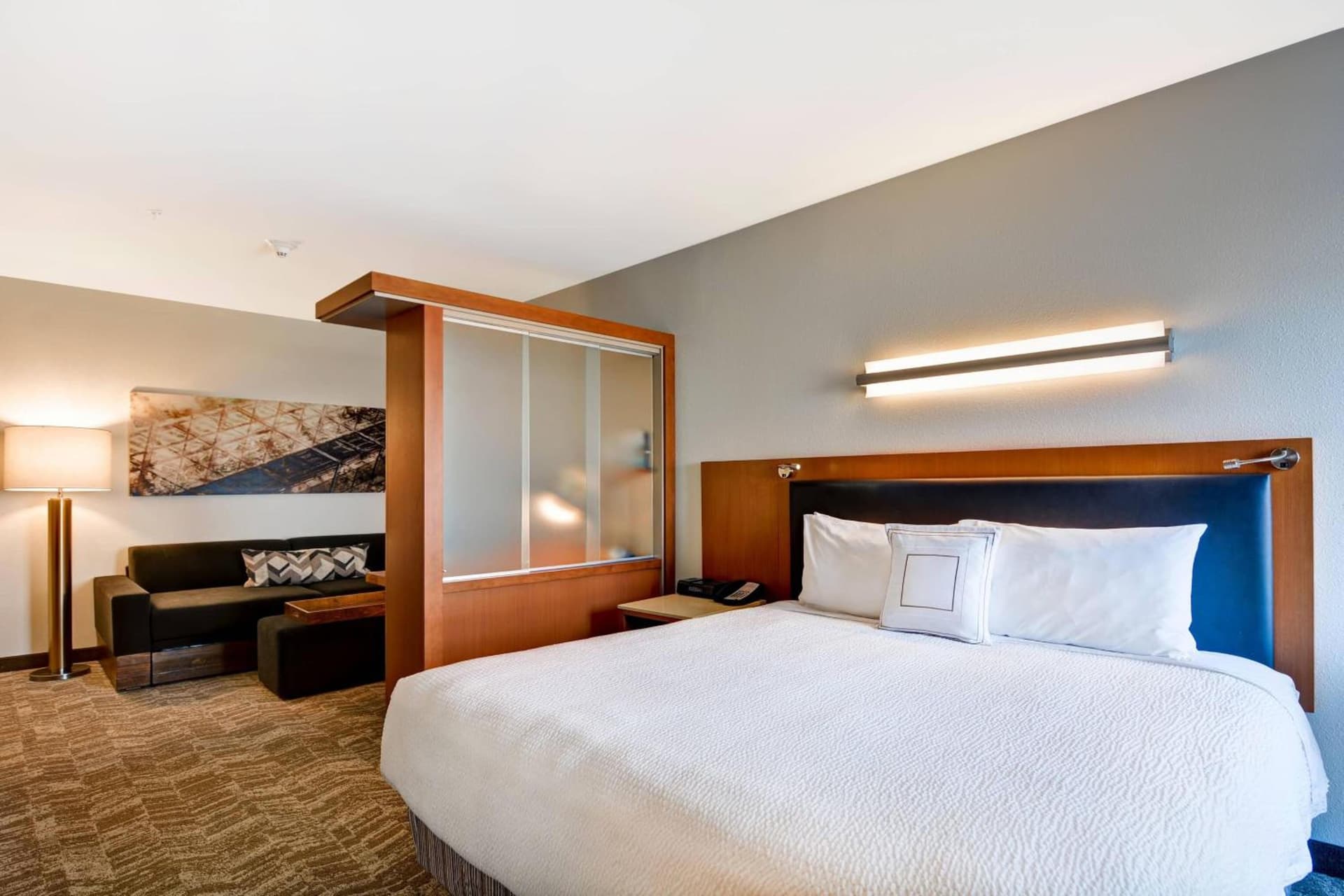 SpringHill Suites Denver at Anschutz Medical Campus gallery photo in Aurora, CO — image 12