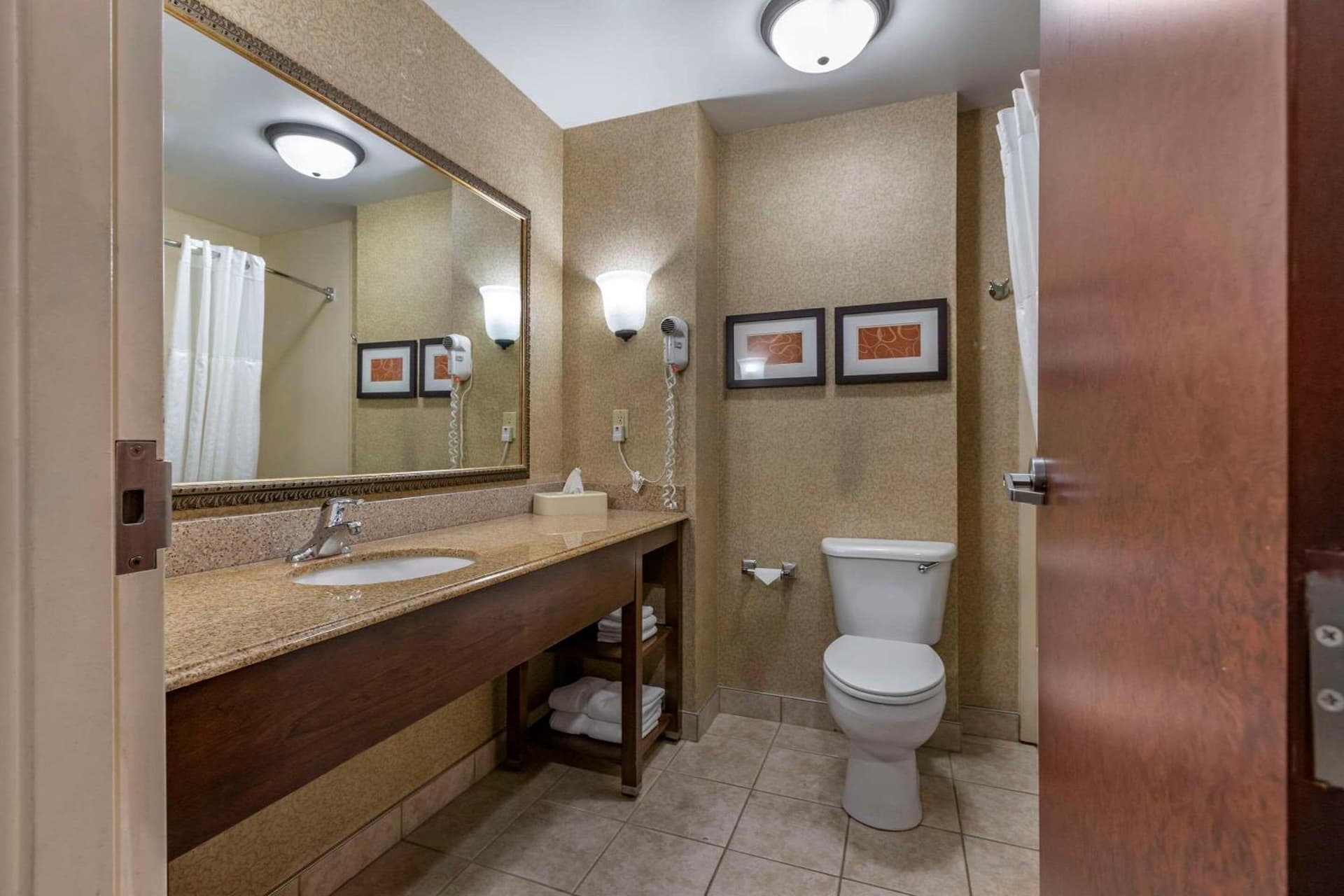 Comfort Suites Grand Rapids South gallery photo in Grand Rapids, MI — image 9