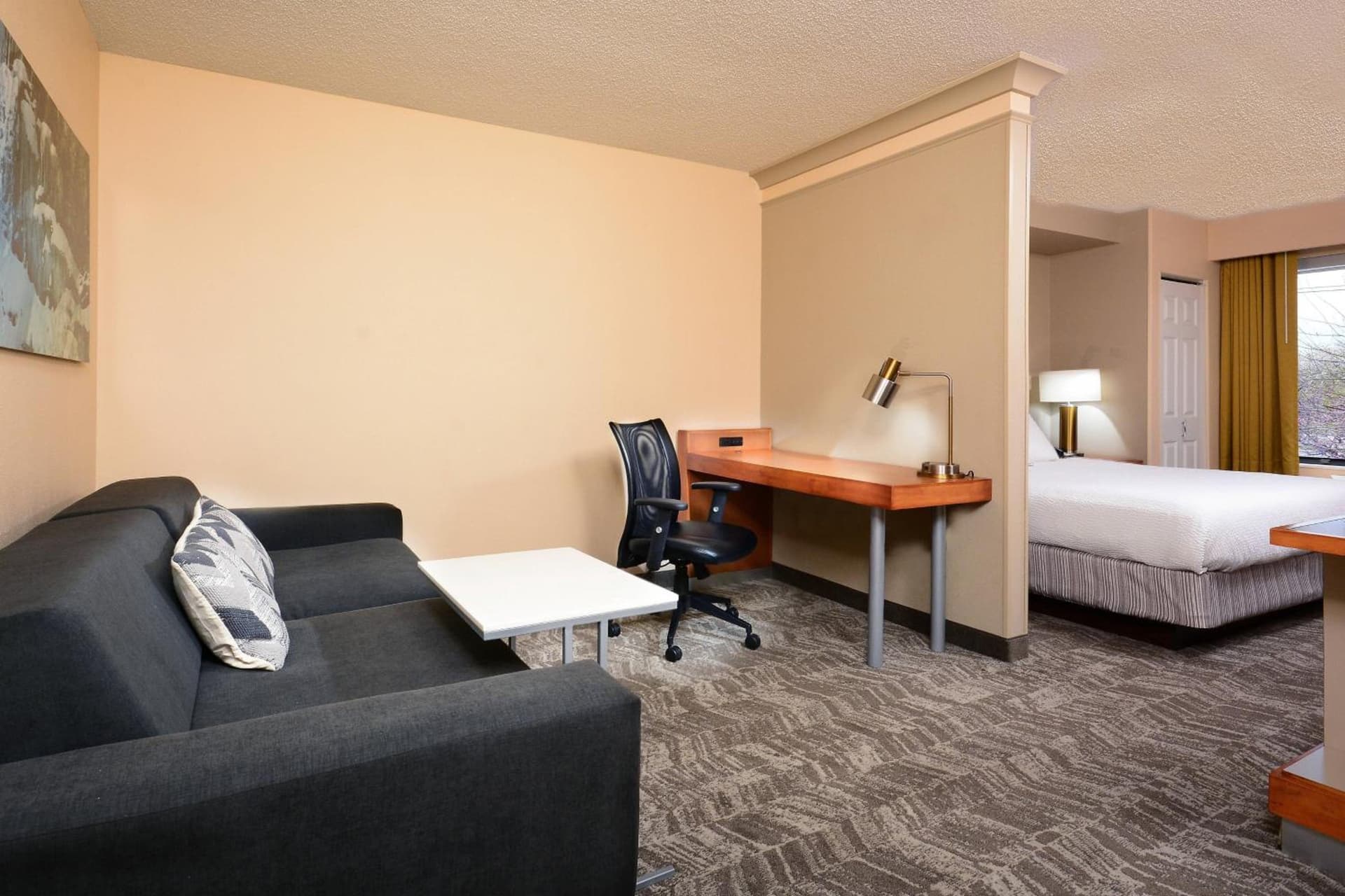 SpringHill Suites by Marriott Lynchburg Airport/University Area gallery photo in Lynchburg, VA — image 10