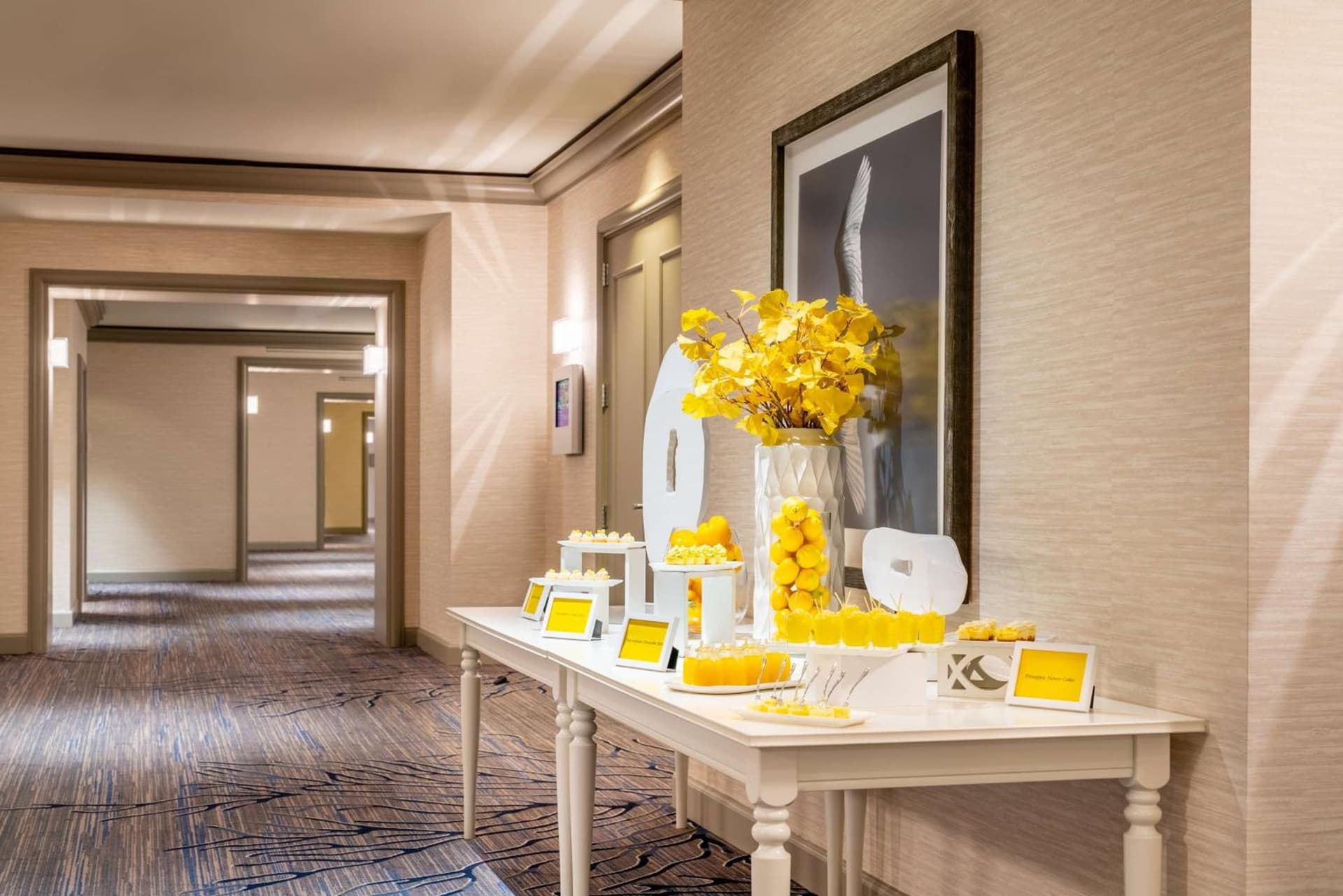 Grand Hyatt Tampa Bay gallery photo in Tampa, FL — image 41
