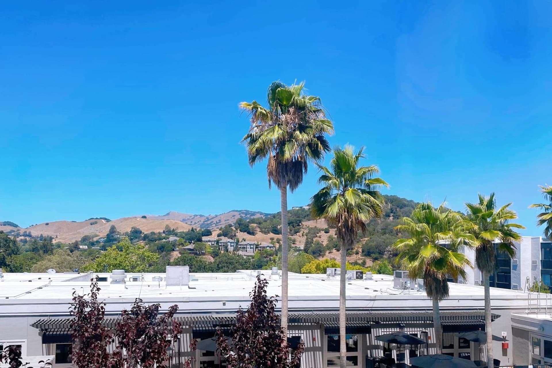 Marin Hilltop Hotel gallery photo in San Rafael, CA — image 14