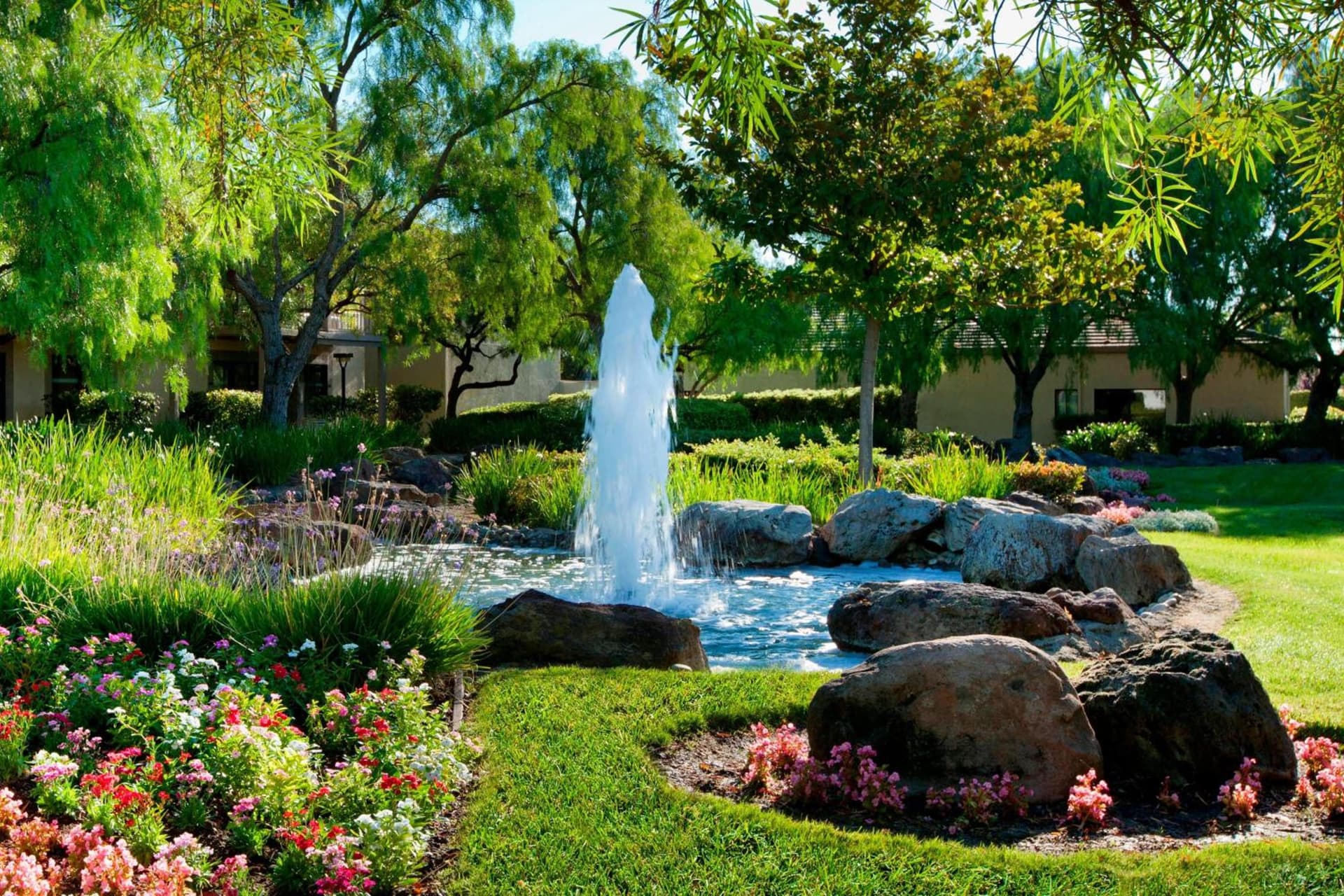 Four Points by Sheraton Pleasanton gallery photo in Pleasanton, CA — image 32