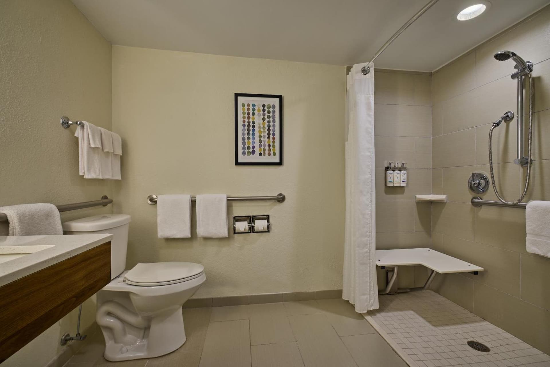 Holiday Inn Express & Suites Charleston DWTN - Medical CTR by IHG gallery photo in Charleston, SC — image 56