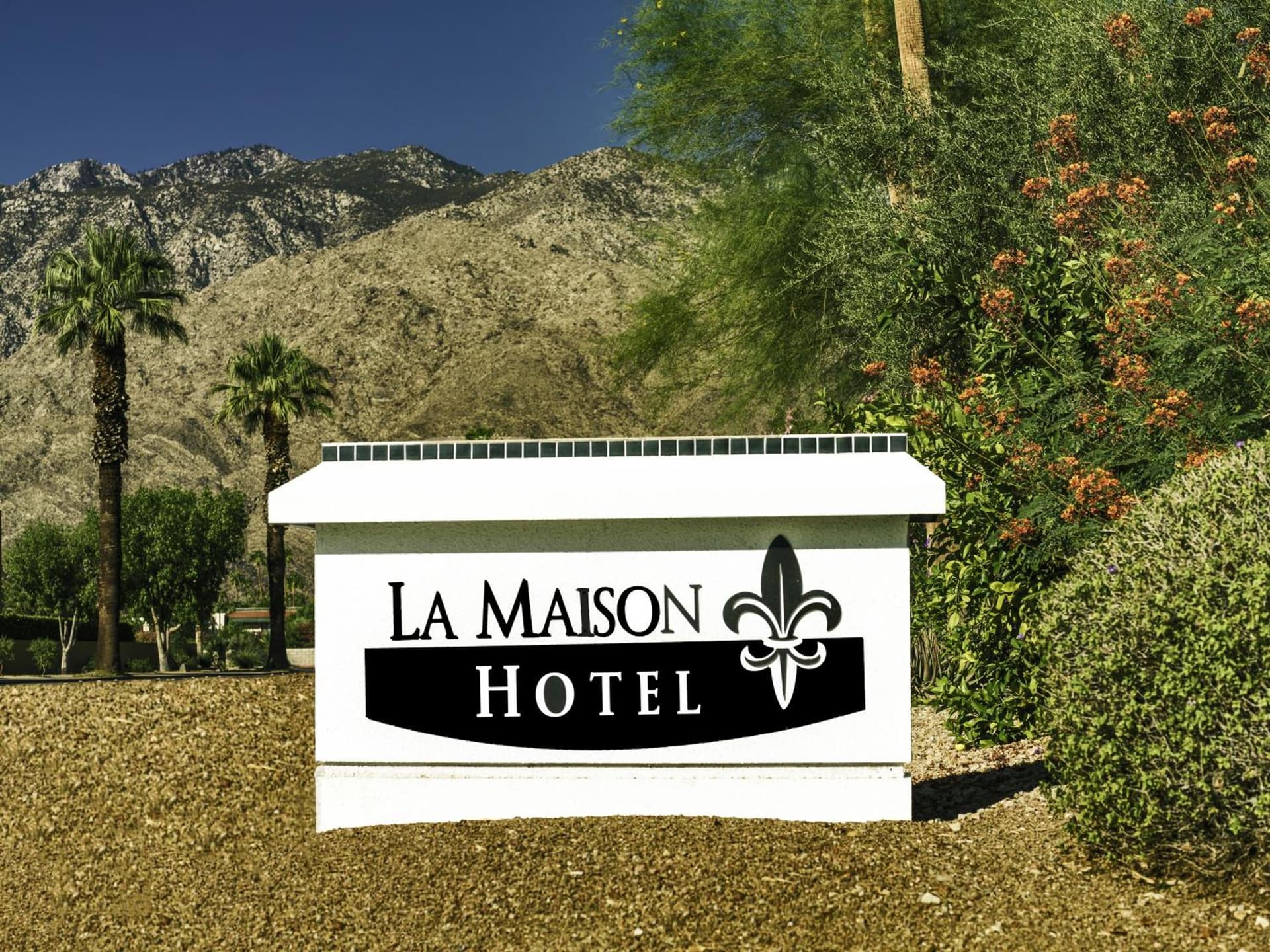 La Maison Hotel - Adults Only gallery photo in Palm Springs, CA — image 46