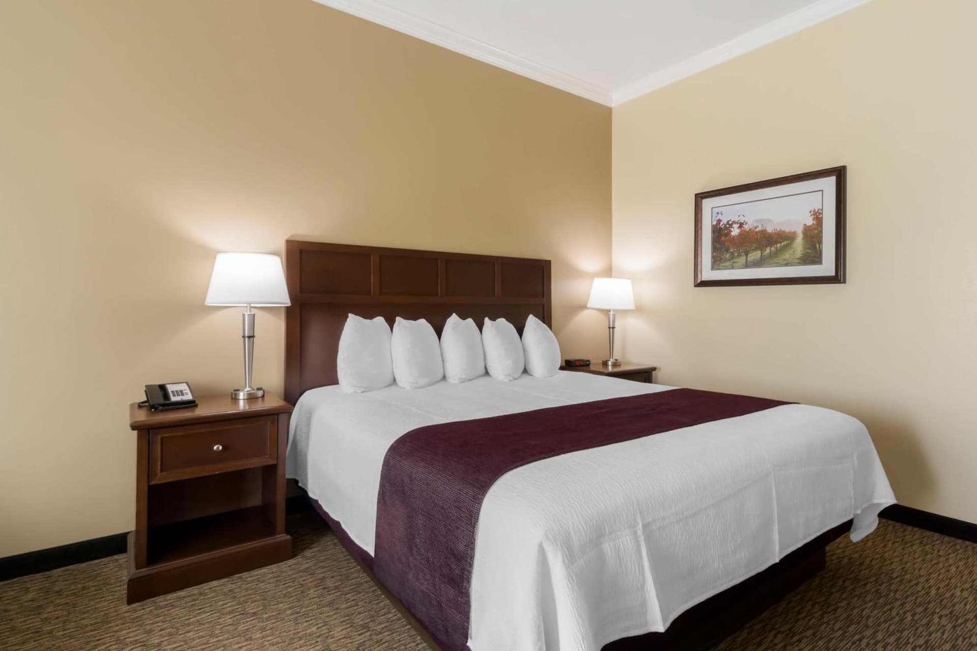 Best Western Plus Grapevine Inn gallery photo in Sunnyside, WA — image 65