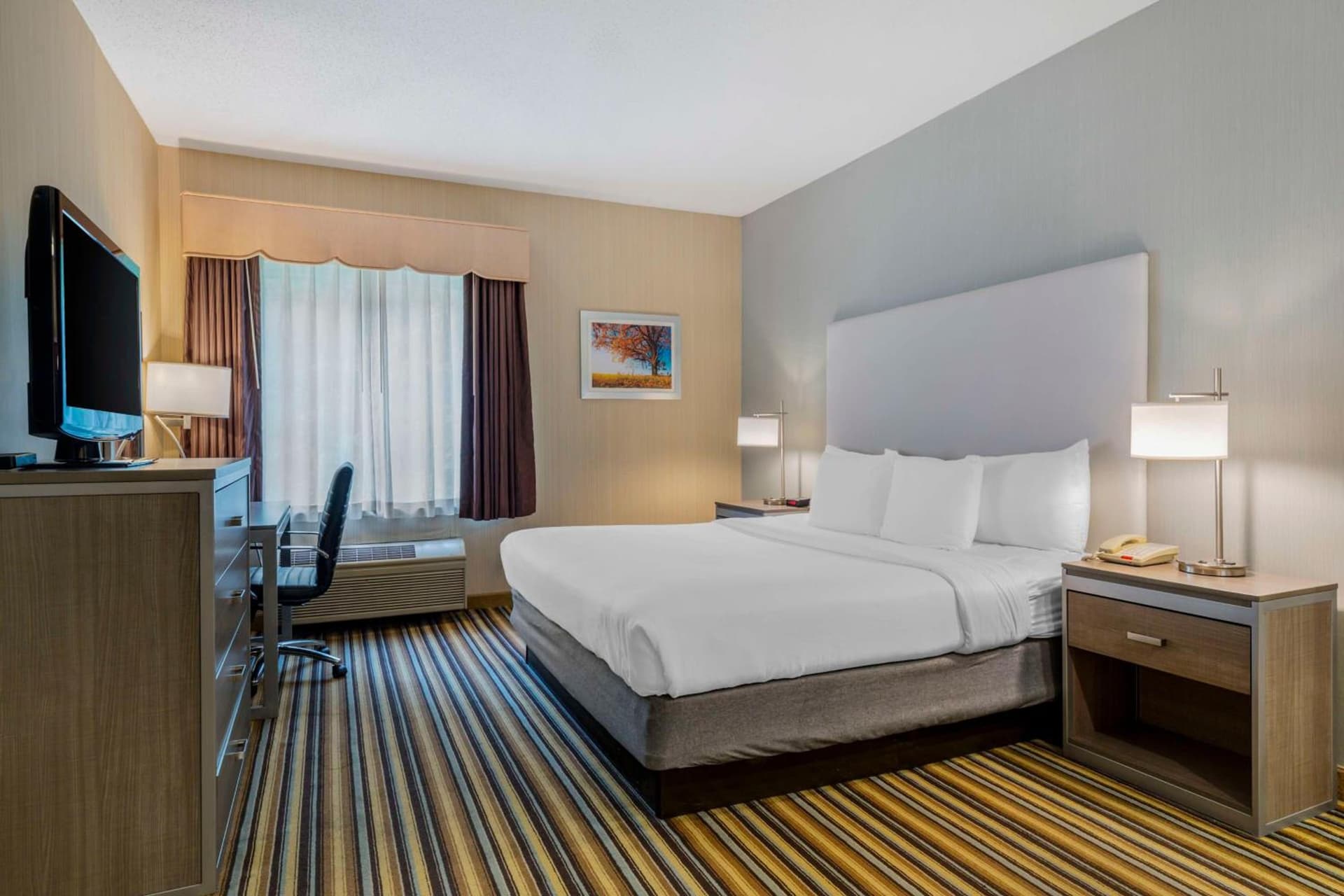 Best Western Plus New England Inn & Suites gallery photo in Berlin, CT — image 17