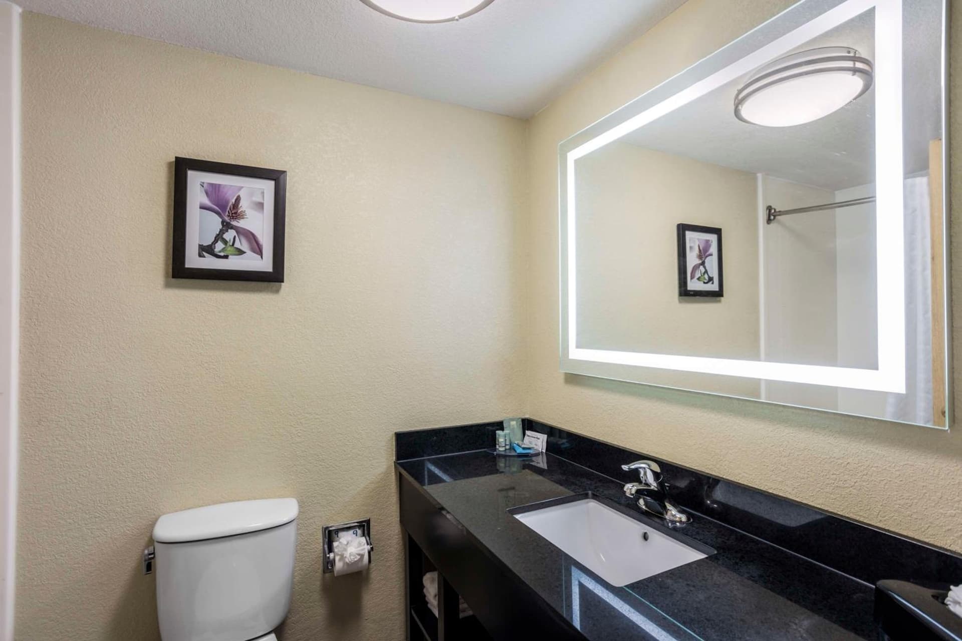 Best Western Harrisburg North Hershey gallery photo in Harrisburg, PA — image 12