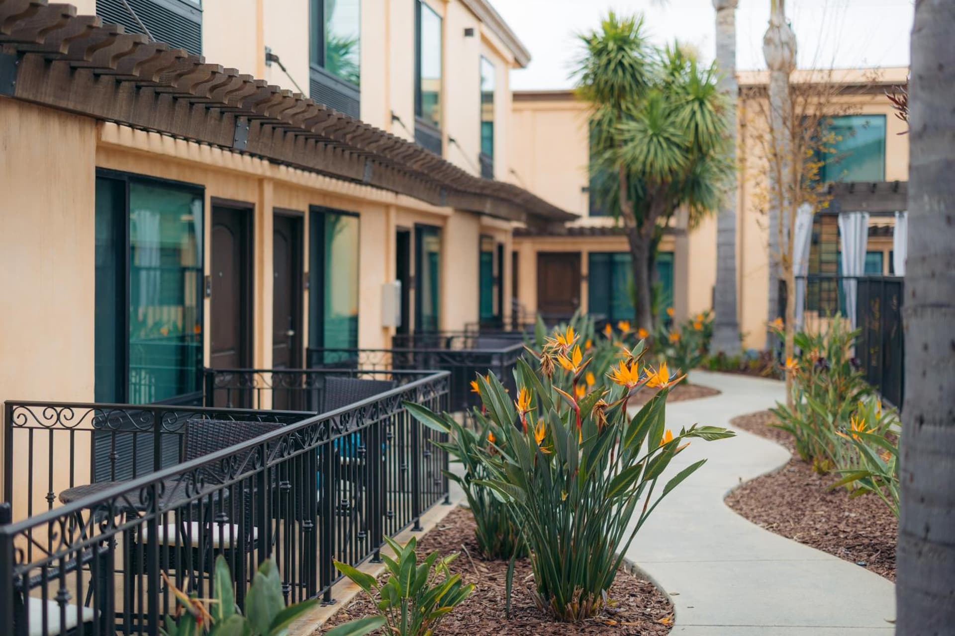 The Cove Hotel gallery photo in Long Beach, CA — image 25
