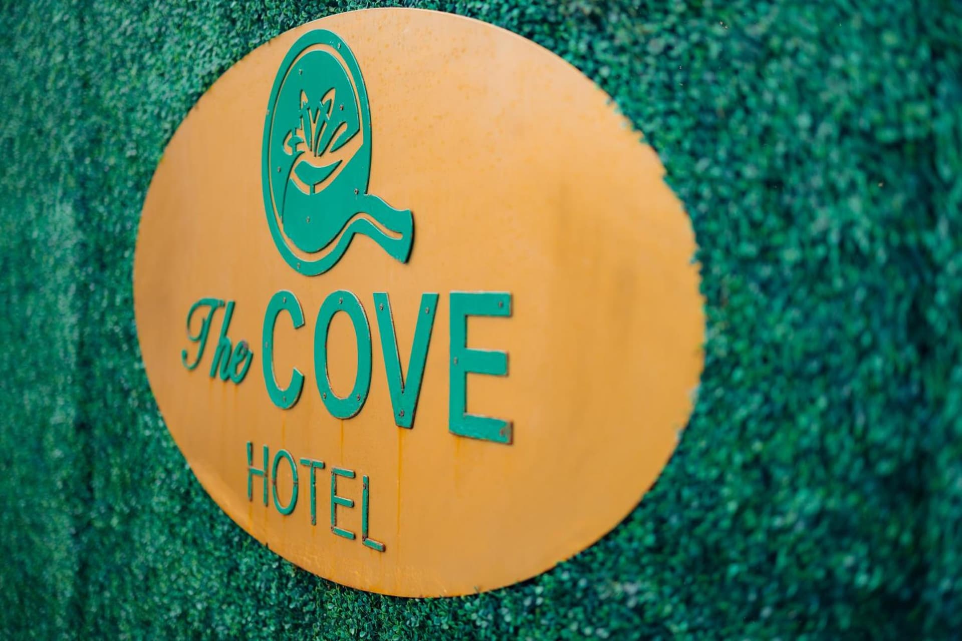 The Cove Hotel gallery photo in Long Beach, CA — image 107