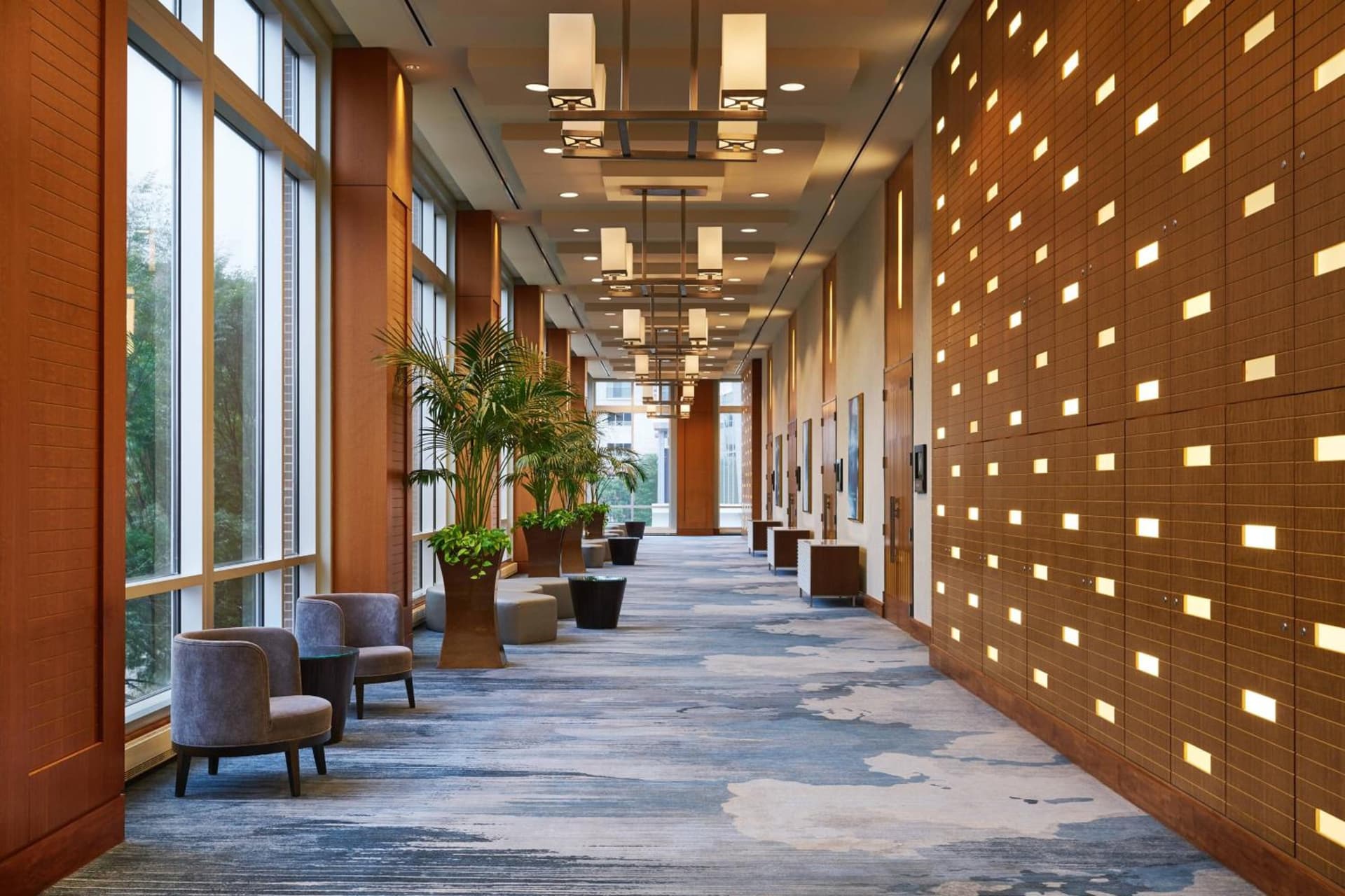 The Westin Virginia Beach Town Center gallery photo in Virginia Beach, VA — image 13