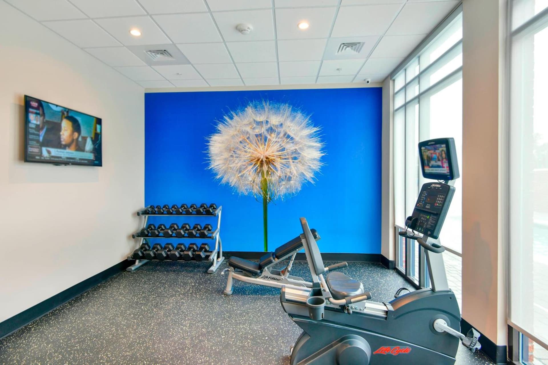 SpringHill Suites by Marriott Wilmington Wrightsville Beach gallery photo in Wilmington, NC — image 46