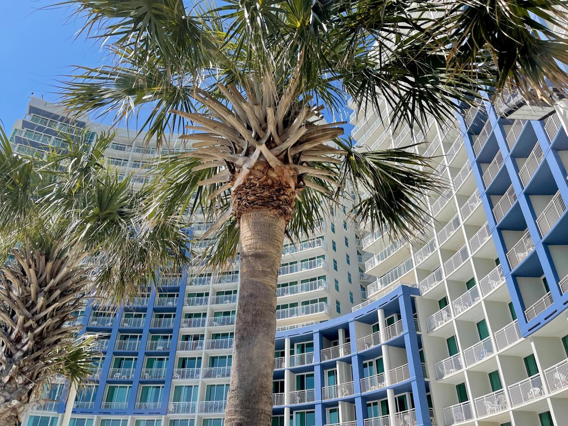 Avista Resort gallery photo in North Myrtle Beach, SC — image 109