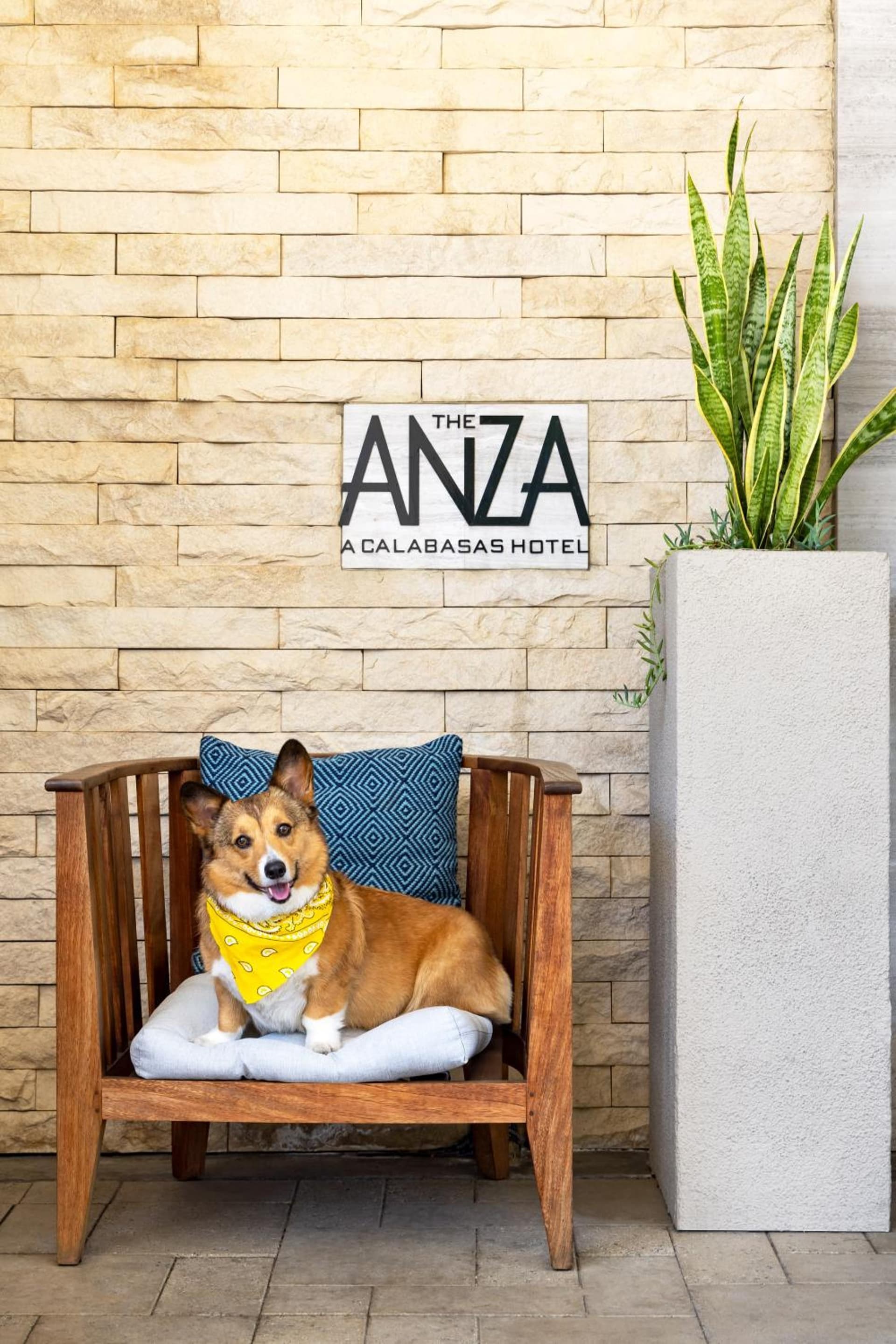 The Anza-a Calabasas Hotel gallery photo in Calabasas, CA — image 45