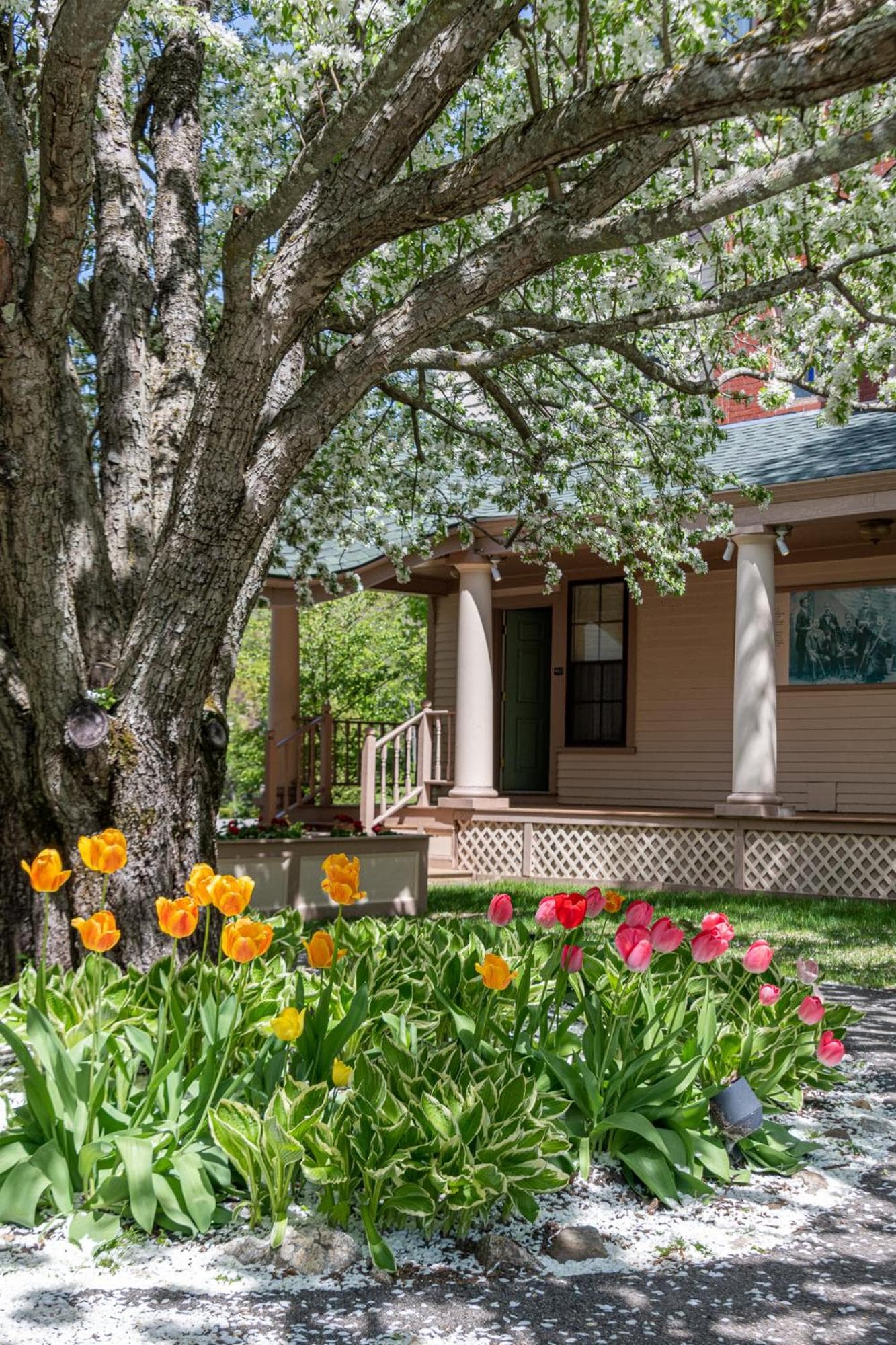 The Wentworth gallery photo in Jackson — image 114