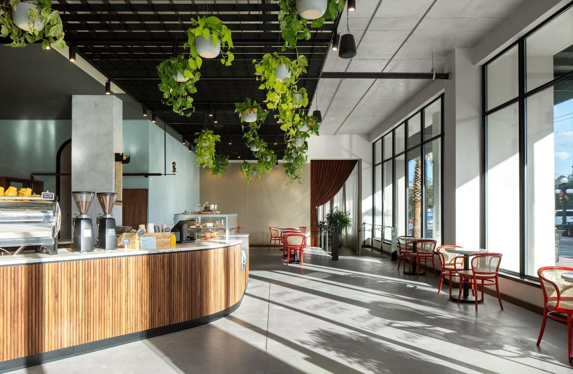 Hotel Haya gallery photo in Tampa, FL — image 13